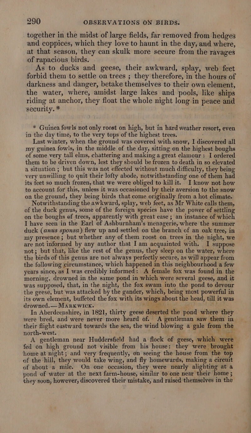 together in the midst of large fields, far removed from hedges and coppices, which they love to haunt in the day, and where, at that season, they can skulk more secure from the ravages of rapacious birds. , As to ducks and geese, their awkward, splay, web feet forbid them to settle on trees ; they therefore, in the hours of © darkness and danger, betake themselves to their own element, the water, where, amidst large lakes and pools, like ships riding at anchor, they float the whole night long in peace and security. * * Guinea fowls not only roost on high, but in hard weather resort, even in the day time, to the very tops of the highest trees. ; Last winter, when the ground was covered with snow, I discovered all my guinea fowls, in the middle of the day, sitting on the highest boughs of some very tall elms, chattering and making a great clamour: I ordered them to be driven down, lest they should be frozen to death in so elevated a situation ; but this was not effected without much difficulty, they being very unwilling to quit their lofty abode, notwithstanding one of them had its feet so much frozen, that we were obliged to kill it. I know not how to account for this, unless it was occasioned by their aversion to the snow on the ground, they being birds that come originally from a hot climate. Notwithstanding the awkward, splay, web feet, as Mr White calls them, of the duck genus, some of the foreign species have the power of settlin on the boughs ef trees, apparently with great ease ; an instance of which I have seen in the Earl of Ashburnham’s menagerie, where the summer duck (anus sponsa) flew up and settled on the branch of an oak tree, in my presence ; but whether any of them roost on trees in the night, we are not informed by any author that I am acquainted with. I suppose not; but that, like the rest of the genus, they sleep on the water, where the birds of this genus are not always perfectly secure, as will appear from the following circumstance, which happened in this neighbourhood a few years since, as I was credibly informed: A female fox was found in the morning, drowned in the same pond in which were several geese, and it was supposed, that, in the night, the fox swam into the pond to devour the geese, but was attacked by the gander, which, being most powerful in its own element, buffeted the fox with its wings about the head, till it was drowned.— Marxkwick. teas: ; In Aberdeenshire, in 1821, thirty geese deserted the pond where they were bred, and were never more heard of. A gentleman saw them in their fight eastward towards the sea, the wind blowing a gale from the north-west. HAL. Eas A gentleman near Huddersfield had a flock of geese, which were fed on high ground not visible from his house; they were brought home at night; and very frequently, on seeing the house from the top of the hill, they would take wing, and fly homewards, making a cireuit of about a mile. On one occasion, they were nearly alighting at a pond of water at the next farm-house, similar to one near their home ; they soon, however, discovered their mistake, and raised themselves in the
