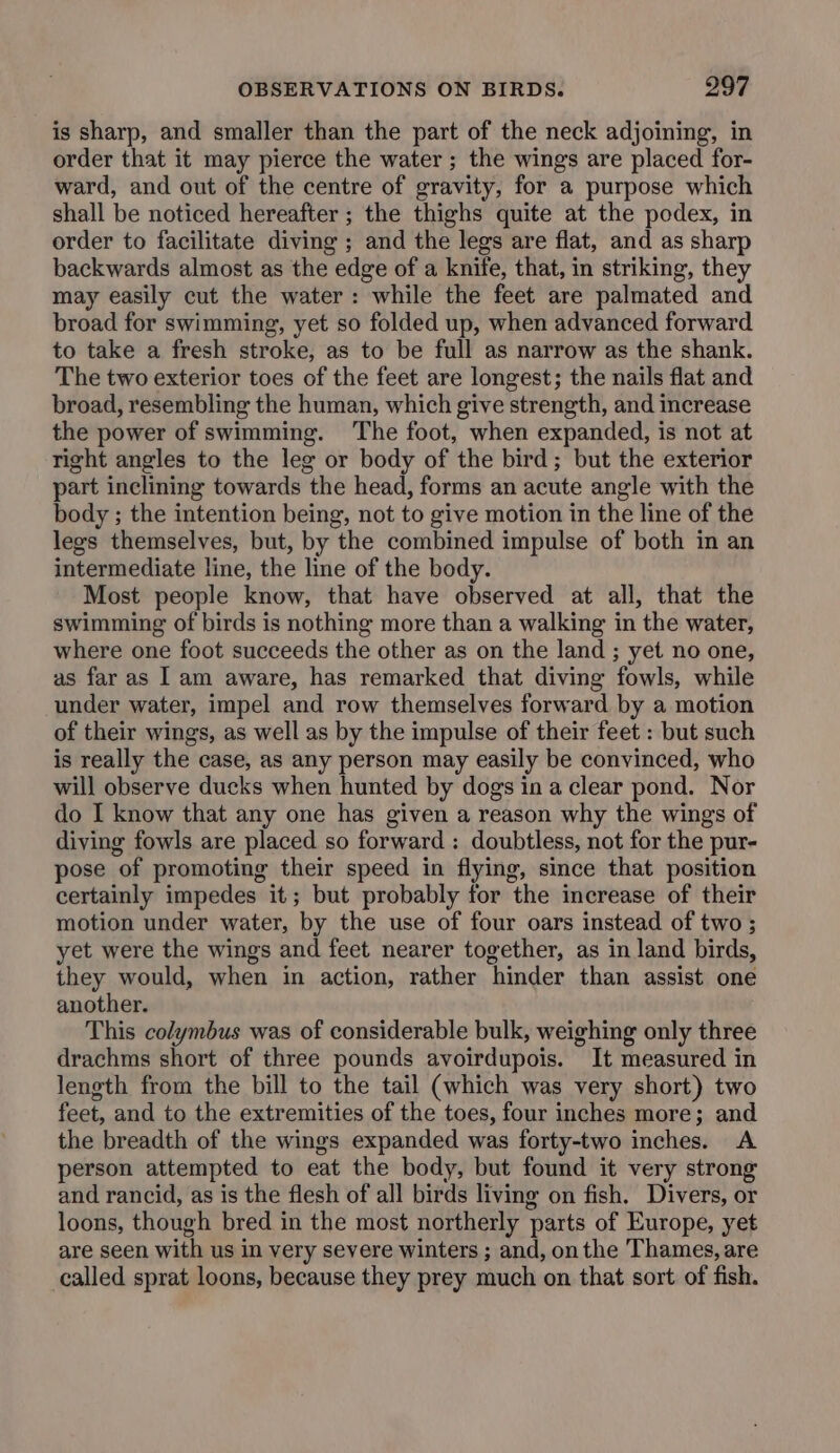 is sharp, and smaller than the part of the neck adjoining, in order that it may pierce the water ; the wings are placed for- ward, and out of the centre of gravity, for a purpose which shall be noticed hereafter ; the thighs quite at the podex, in order to facilitate diving ; and the legs are flat, and as sharp backwards almost as the edge of a knife, that, in striking, they may easily cut the water: while the feet are palmated and broad for swimming, yet so folded up, when advanced forward to take a fresh stroke, as to be full as narrow as the shank. The two exterior toes of the feet are longest; the nails flat and broad, resembling the human, which give strength, and increase the power of swimming. The foot, when expanded, is not at right angles to the leg or body of the bird; but the exterior part inclining towards the head, forms an acute angle with the body ; the intention being, not to give motion in the line of the legs themselves, but, by the combined impulse of both in an intermediate line, the line of the body. Most people know, that have observed at all, that the swimming of birds is nothing more than a walking in the water, where one foot succeeds the other as on the land ; yet no one, as far as I am aware, has remarked that diving fowls, while under water, impel and row themselves forward by a motion of their wings, as well as by the impulse of their feet : but such is really the case, as any person may easily be convinced, who will observe ducks when hunted by dogs ina clear pond. Nor do I know that any one has given a reason why the wings of diving fowls are placed so forward : doubtless, not for the pur- pose of promoting their speed in flying, since that position certainly impedes it; but probably for the increase of their motion under water, by the use of four oars instead of two ; yet were the wings and feet nearer together, as in land birds, they would, when in action, rather hinder than assist one another. This colymbus was of considerable bulk, weighing only three drachms short of three pounds avoirdupois. It measured in length from the bill to the tail (which was very short) two feet, and to the extremities of the toes, four inches more; and the breadth of the wings expanded was forty-two inches. A person attempted to eat the body, but found it very strong and rancid, as is the flesh of all birds living on fish. Divers, or loons, though bred in the most northerly parts of Europe, yet are seen with us in very severe winters ; and, on the Thames, are called sprat loons, because they prey much on that sort of fish.