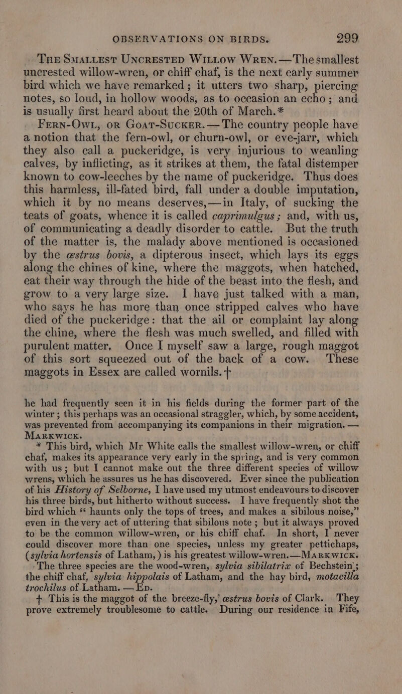Tne SmaLitest UncrEsTED WILLOW WreEN.—The smallest uncrested willow-wren, or chiff chaf, is the next early summer bird which we have remarked; it utters two sharp, piercing notes, so loud, in hollow woods, as to occasion an echo; and is usually first heard about the 20th of March.* Fern-Ow., or Goat-Sucker.— The country people have a notion that the fern-owl, or churn-owl, or eve-jarr, which they also call a puckeridge, is very injurious to weanling calves, by inflicting, as it strikes at them, the fatal distemper known to cow-leeches by the name of puckeridge. Thus does this harmless, ill-fated bird, fall under a double imputation, which it by no means deserves,—in Italy, of sucking the teats of goats, whence it is called caprimulgus ; and, with us, of communicating a deadly disorder to cattle. But the truth of the matter is, the malady above mentioned is occasioned by the e@strus bovis, a dipterous insect, which lays its eggs along the chines of kine, where the maggots, when hatched, eat their way through the hide of the beast into the flesh, and grow to a very large size. I have just talked with a man, who says he has more than once stripped calves who have died of the puckeridge: that the ail or complaint lay along the chine, where the flesh was much swelled, and filled with purulent matter, Once I myself saw a large, rough maggot of this sort squeezed out of the back of a cow. These maggots in Essex are called wornils. + he had frequently seen it in his fields during the former part of the winter ; this perhaps was an occasional straggler, which, by some accident, was prevented from accompanying its companions in their migration. — Marxwick. * This bird, which Mr White calls the smallest willow-wren, or chiff chaf, makes its appearance very early in the spring, and is very common with us; but I cannot make out the three different species of willow wrens, which he assures us he has discovered. Ever since the publication of his History of Selborne, I have used my utmost endeavours to discover his three birds, but hitherto without success. I have frequently shot the bird which * haunts only the tops of trees, and makes a sibilous noise,” even in the very act of uttering that sibilous note; but it always proved to be the common willow-wren, or his chiff chaf. In short, I never could discover more than one species, unless my greater pettichaps, (sylvia hortensis of Latham, ) is his greatest willow-wren.—Marxk wIck. The three species are the wood-wren, sylvia sibilatrix of Bechstein’; the chiff chaf, sylvia hippolais of Latham, and the hay bird, motacilla trochilus of Latham. — Ep. + This is the maggot of the breeze-fly,' estrus bovis of Clark. They prove extremely troublesome to cattle. During our residence in Fife,