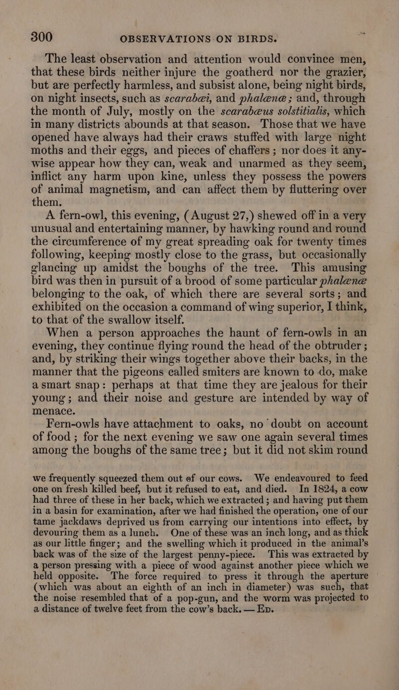 The least observation and attention would convince men, that these birds neither injure the goatherd nor the grazier, but are perfectly harmless, and subsist alone, being night birds, on night insects, such as scarabei, and phalene; and, through the month of July, mostly on the scarabeus solstitialis, which in many districts abounds at that season. Those that we have opened have always had their craws stuffed with large night moths and their eggs, and pieces of chaffers ; nor does it any- wise appear how they can, weak and unarmed as they seem, inflict any harm upon kine, unless they possess the powers of animal magnetism, and can affect them by fluttering over them. A fern-owl, this evening, (August 27,) shewed off in a very unusual and entertaining manner, by hawking round and round the circumference of my great spreading oak for twenty times following, keeping mostly close to the grass, but occasionally glancing up amidst the boughs of the tree. This amusing bird was then in pursuit of a brood of some particular phalene belonging to the oak, of which there are several sorts; and exhibited on the occasion a command of wing superior, I think, to that of the swallow itself. When a person approaches the haunt of fern-owls in an evening, they continue flying round the head of the obtruder ; and, by striking their wings together above their backs, in the manner that the pigeons called smiters are known to do, make asmart snap: perhaps at that time they are jealous for their young ; and their noise and gesture are intended by way of menace. Fern-owls have attachment to oaks, no doubt on account of food ; for the next evening we saw one again several times among the boughs of the same tree; but it did not skim round we frequently squeezed them out ef our cows. We endeavoured to feed one on fresh killed beef, but it refused to eat, and died. In 1824, a cow had three of these in her back, which we extracted ; and having put them in a basin for examination, after we had finished the operation, one of our tame jackdaws deprived us from carrying our intentions into effect, by devouring them as a lunch. One of these was an inch long, and as thick as our little finger; and the swelling which it produced in the animal’s back was of the size of the largest penny-piece. This was extracted by a person pressing with a piece of wood against another piece which we held opposite. The force required to press it through the aperture (which was about an eighth of an inch in diameter) was such, that the noise resembled that of a pop-gun, and the worm was projected to a distance of twelve feet from the cow’s back. — En.