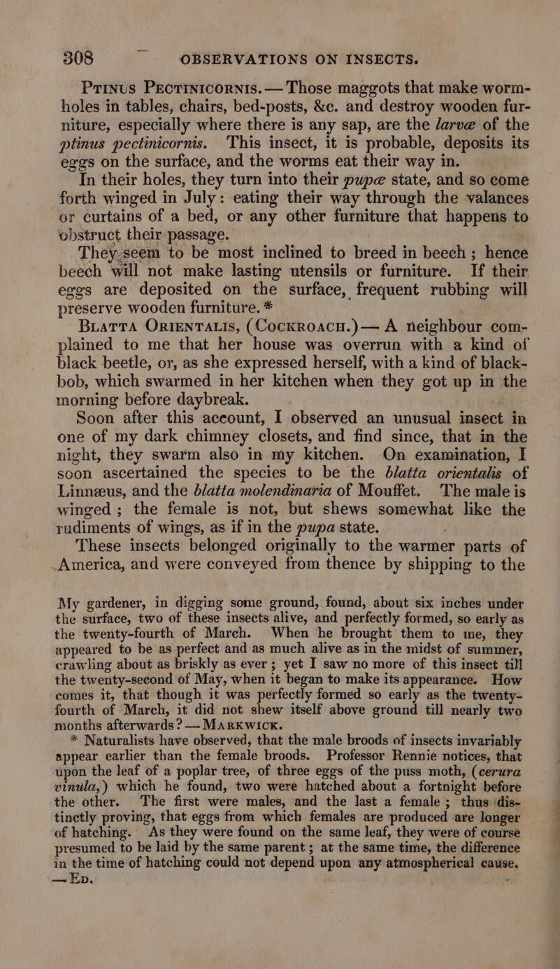 Prinus Pecrinicornis.— Those maggots that make worm- holes in tables, chairs, bed-posts, &c. and destroy wooden fur- niture, especially where there is any sap, are the larve of the ptinus pectinicornis. This insect, it is probable, deposits its eggs on the surface, and the worms eat their way in. In their holes, they turn into their pupe state, and so come forth winged in July: eating their way through the valances or curtains of a bed, or any other furniture that happens to obstruct their passage. They.seem to be most inclined to breed in beech; hence beech will not make lasting utensils or furniture. If their eggs are deposited on the surface, frequent rubbing will preserve wooden furniture. * BuaTtTa OriENTALIs, (Cockroacu.)— A neighbour com- plained to me that her house was overrun with a kind of black beetle, or, as she expressed herself, with a kind of black- bob, which swarmed in her kitchen when they got up in the morning before daybreak. . Soon after this aceount, I observed an unusual insect in one of my dark chimney closets, and find since, that in the night, they swarm also in my kitchen. On examination, I soon ascertained the species to be the bd/atta orientalis of Linnezus, and the dlatta molendinaria of Mouffet. The male is winged ; the female is not, but shews somewhat like the rudiments of wings, as if in the pupa state. ,; These insects belonged originally to the warmer parts of .America, and were conveyed from thence by shipping to the My gardener, in digging some ground, found, about six inches under the surface, two of these insects alive, and perfectly formed, so early as the twenty-fourth of March. When he brought them to me, they appeared to be as perfect and as much alive as in the midst of summer, crawling about as briskly as ever ; yet I saw no more of this insect till the twenty-second of May, when it began to make its appearance. How comes it, that though it was tates formed so early as the twenty- fourth of March, it did not shew itself above ground till nearly two months afterwards ? — Marxkwick. * Naturalists have observed, that the male broods of insects invariably appear earlier than the female broods. Professor Rennie notices, that upon the leaf of a poplar tree, of three eggs of the puss moth, (cerura vinula,) which he found, two were hatched about a fortnight before the other. The first were males, and the last a female; thus ‘dis- tinctly proving, that eggs from which females are produced are longer of hatching. As they were found on the same leaf, they were of course presumed to be laid by the same parent ; at the same time, the difference in the time of hatching could not depend upon any atmospherical cause. —~ Ep. ’