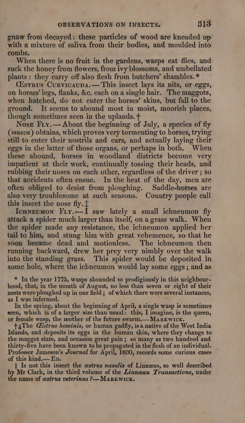 gnaw from decayed: these particles of wood are kneaded up’ with a mixture of saliva from their bodies, and moulded into combs. When there is no fruit in the gardens, wasps eat flies, and suck the honey from flowers, from ivy blossoms, and umbellated plants : they carry off also flesh from butchers’ shambles. * (Estrus Curvicaupa.— This insect lays its nits, or eggs, on horses’ legs, flanks, &amp;c. each ona single hair. The maggots, when hatched, do not enter the horses’ skins, but fall to the ground. It seems to abound most in moist, moorish places, though sometimes seen in the uplands. + Nose Fry.— About the beginning of July, a species of fly (musca) obtains, which proves very tormenting to horses, trying still to enter their nostrils and ears, and actually laying their eggs in the latter of those organs, or perhaps in both. When these abound, horses in woodland districts become very impatient at their work, continually tossing their heads, and rubbing their noses on each other, regardless of the driver ; so that accidents often ensue. In the heat of the day, men are often obliged to desist from ploughing. Saddle-horses are also very troublesome at such seasons. Country people call this insect the nose fly. f Icuneumon Fiy.—I saw lately a small ichneumon fly attack a spider much larger than itself, on a grass walk. When the spider made any resistance, the ichneumon applied her tail to him, and stung him with great vehemence, so that he soon became dead and motionless. The ichneumon then running backward, drew her prey very nimbly over the walk into the standing grass. This spider would be deposited in some hole, where the ichneumon would lay some eggs ; and as * In the year 1775, wasps abounded so prodigiously in this neighbour- hood, that, in the month of August, no less than seven or eight of their nests were ploughed up in one field; of which there were several instances, as I was informed. ; In the spring, about the beginning of April, a single wasp is sometimes seen, which is of a larger size than usual: this, I imagine, is the queen, or female wasp, the mother of the future swarm.— Markwick. gThe Q@strus hominis, or human gadfly, isa native of the West India Islands, and deposits its eggs in the human skin, where they change to the maggot state, and occasion great pain; so many as two hundred and thirty-five have been known to be propagated in the flesh of an individual. Professor Jameson’s Journal for April, 1880, records some curious cases of this kind.— Ep. eke. ¢ Is not this insect the estrus nasalis of Linneus, so well described by Mr Clark, in the third volume of the Linnean Transactions, under the name of estrus veterinus 2— MARKWICK.