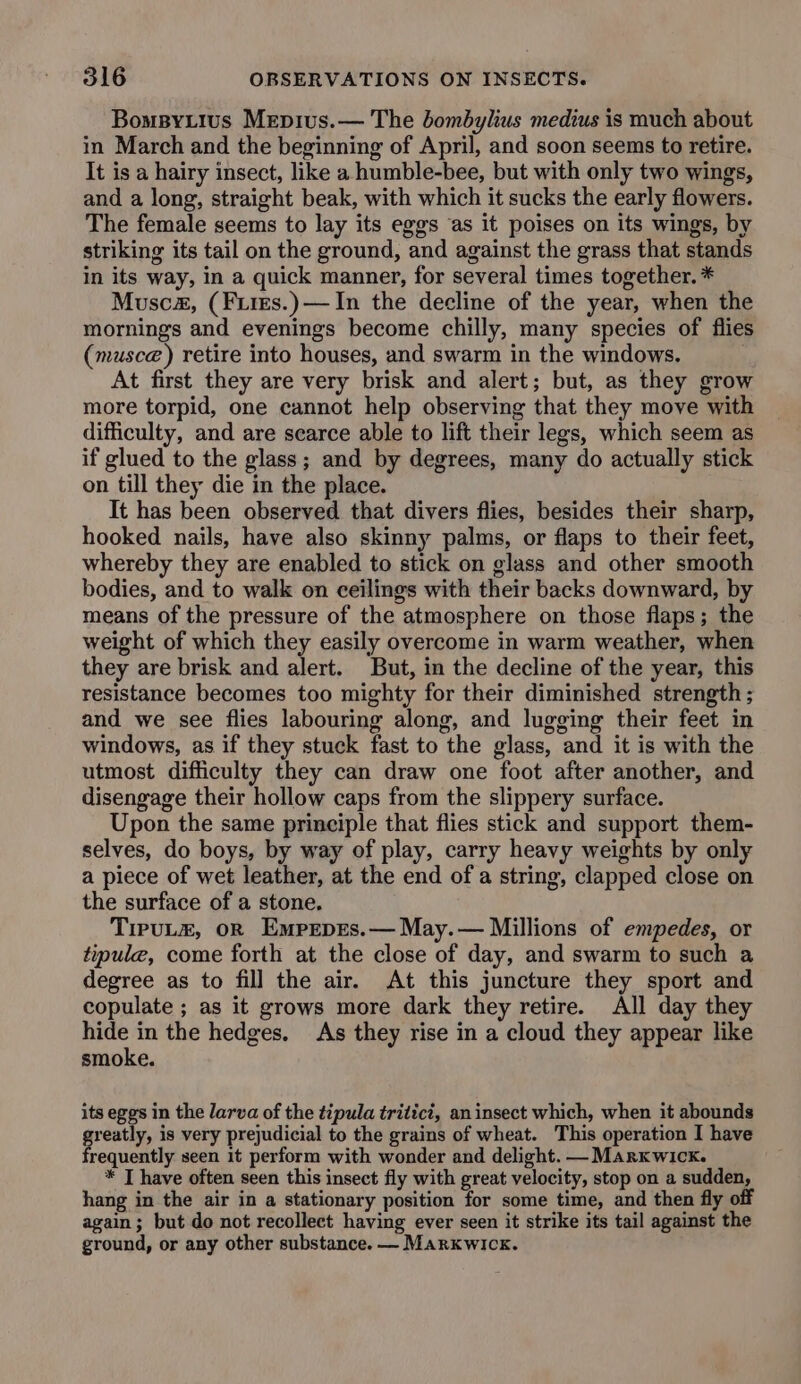 BomsBytius Mepius.— The bombylius medius is much about in March and the beginning of April, and soon seems to retire. It is a hairy insect, like a humble-bee, but with only two wings, and a long, straight beak, with which it sucks the early flowers. The female seems to lay its eggs ‘as it poises on its wings, by striking its tail on the ground, and against the grass that stands in its way, in a quick manner, for several times together. * Muscz, (Fires.)— In the decline of the year, when the mornings and evenings become chilly, many species of flies (musce) retire into houses, and swarm in the windows. At first they are very brisk and alert; but, as they grow more torpid, one cannot help observing that they move with difficulty, and are scarce able to lift their legs, which seem as if glued to the glass; and by degrees, many do actually stick on till they die in the place. It has been observed that divers flies, besides their sharp, hooked nails, have also skinny palms, or flaps to their feet, whereby they are enabled to stick on glass and other smooth bodies, and to walk on ceilings with their backs downward, by means of the pressure of the atmosphere on those flaps; the weight of which they easily overcome in warm weather, when they are brisk and alert. But, in the decline of the year, this resistance becomes too mighty for their diminished strength ; and we see flies labouring along, and lugging their feet in windows, as if they stuck fast to the glass, and it is with the utmost difficulty they can draw one foot after another, and disengage their hollow caps from the slippery surface. Upon the same principle that flies stick and support them- selves, do boys, by way of play, carry heavy weights by only a piece of wet leather, at the end of a string, clapped close on the surface of a stone. TiPuLz, oR EmprpEes.— May.— Millions of empedes, or tipule, come forth at the close of day, and swarm to such a degree as to fill the air. At this juncture they sport and copulate ; as it grows more dark they retire. All day they hide in the hedges. As they rise in a cloud they appear like smoke. its eggs in the larva of the tipula tritici, an insect which, when it abounds greatly, is very prejudicial to the grains of wheat. This operation I have requently seen it perform with wonder and delight. —Marxwick. * T have often seen this insect fly with great velocity, stop on a sudden, hang in the air in a stationary position for some time, and then fly off again; but do not recollect having ever seen it strike its tail against the ground, or any other substance. — Markwick.