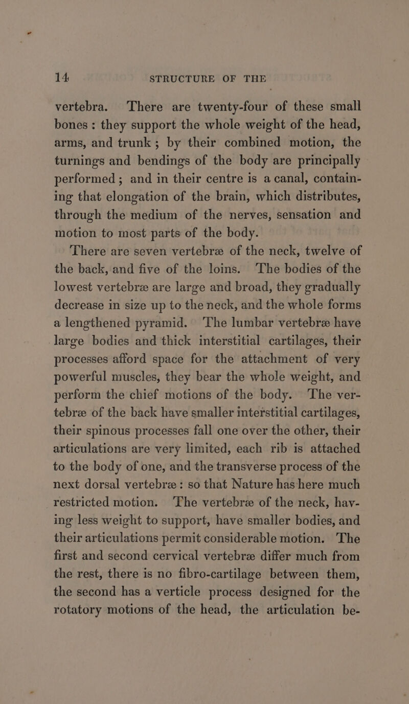 vertebra. There are twenty-four of these small bones : they support the whole weight of the head, arms, and trunk; by their combined motion, the turnings and bendings of the body are principally performed ; and in their centre is a canal, contain- ing that elongation of the brain, which distributes, through the medium of the nerves, sensation and motion to most parts of the body. There are seven vertebre of the neck, twelve of the back, and five of the loins. The bodies of the lowest vertebre are large and broad, they gradually decrease in size up to the neck, and the whole forms a lengthened pyramid. ‘The lumbar vertebre have large bodies and thick interstitial cartilages, their processes afford space for the attachment of very powerful muscles, they bear the whole weight, and perform the chief motions of the body. The ver- tebre of the back have smaller mterstitial cartilages, their spinous processes fall one over the other, their articulations are very limited, each rib is attached to the body of one, and the transverse process of the next dorsal vertebre: so that Nature has here much restricted motion. ‘The vertebre of the neck, havy- ing less weight to support, have smaller bodies, and their articulations permit considerable motion. The first and second cervical vertebre differ much from the rest, there is no fibro-cartilage between them, the second has a verticle process designed for the rotatory motions of the head, the articulation be-