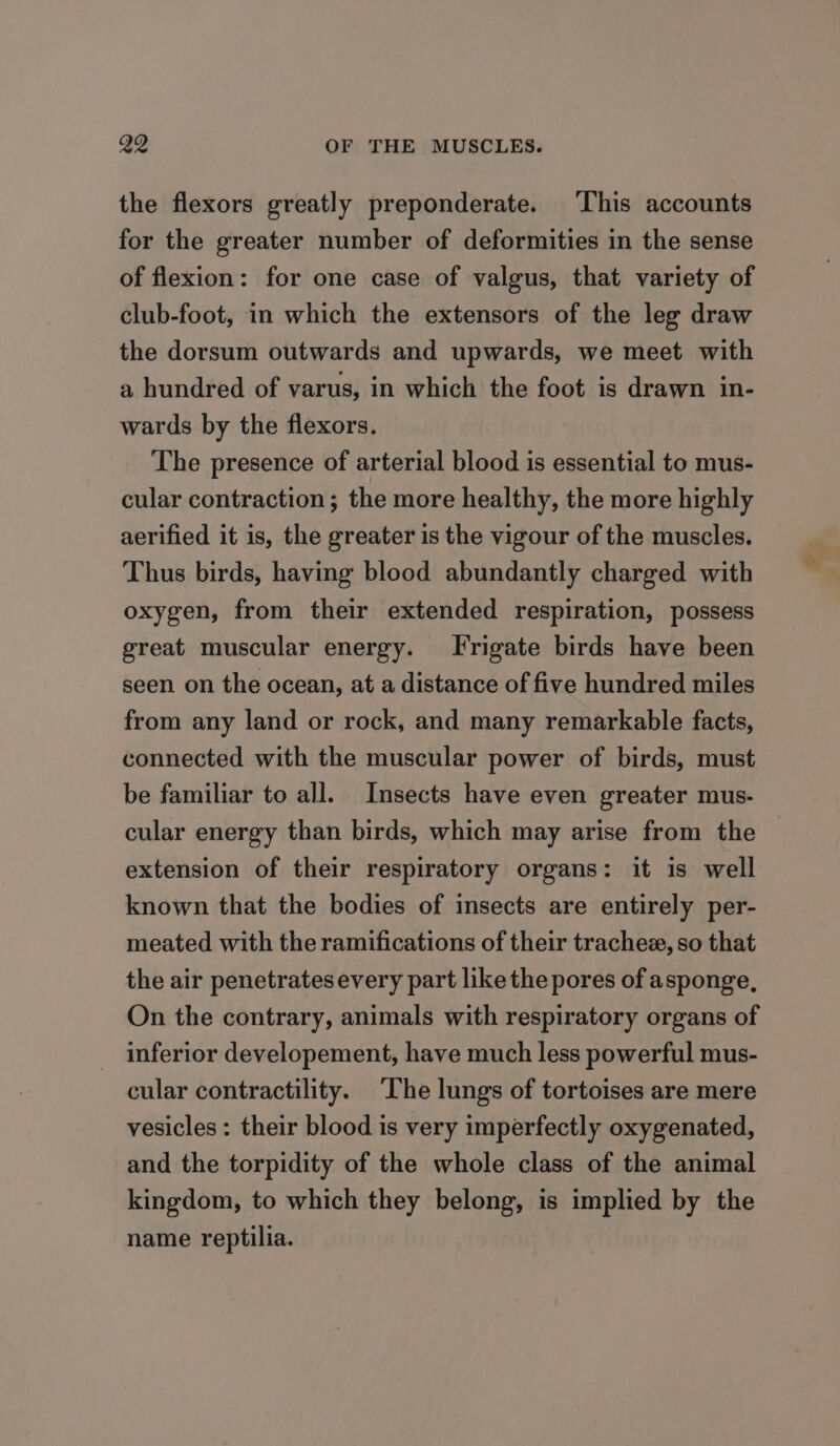 the flexors greatly preponderate. This accounts for the greater number of deformities in the sense of flexion: for one case of valgus, that variety of club-foot, in which the extensors of the leg draw the dorsum outwards and upwards, we meet with a hundred of varus, in which the foot is drawn in- wards by the flexors. The presence of arterial blood is essential to mus- cular contraction; the more healthy, the more highly aerified it is, the greater is the vigour of the muscles. Thus birds, having blood abundantly charged with oxygen, from their extended respiration, possess great muscular energy. Frigate birds have been seen on the ocean, at a distance of five hundred miles from any land or rock, and many remarkable facts, connected with the muscular power of birds, must be familiar to all. Insects have even greater mus- cular energy than birds, which may arise from the extension of their respiratory organs: it is well known that the bodies of insects are entirely per- meated with the ramifications of their trachez, so that the air penetrates every part like the pores of asponge, On the contrary, animals with respiratory organs of inferior developement, have much less powerful mus- cular contractility. The lungs of tortoises are mere vesicles : their blood is very imperfectly oxygenated, and the torpidity of the whole class of the animal kingdom, to which they belong, is implied by the name reptilia.