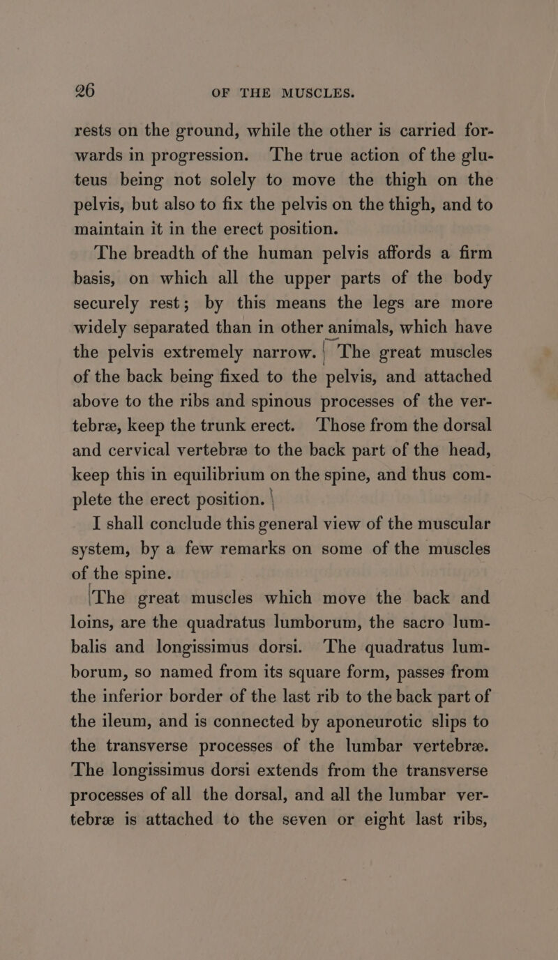 rests on the ground, while the other is carried for- wards in progression. ‘The true action of the glu- teus being not solely to move the thigh on the pelvis, but also to fix the pelvis on the thigh, and to maintain it in the erect position. The breadth of the human pelvis affords a firm basis, on which all the upper parts of the body securely rest; by this means the legs are more widely separated than in other animals, which have the pelvis extremely narrow. | The great muscles of the back being fixed to the pelvis, and attached above to the ribs and spinous processes of the ver- tebree, keep the trunk erect. ‘Those from the dorsal and cervical vertebre to the back part of the head, keep this in equilibrium on the spine, and thus com- plete the erect position. | I shall conclude this general view of the muscular system, by a few remarks on some of the muscles of the spine. ‘The great muscles which move the back and loins, are the quadratus lumborum, the sacro lum- balis and longissimus dorsi. The quadratus lum- borum, so named from its square form, passes from the inferior border of the last rib to the back part of the ileum, and is connected by aponeurotic slips to the transverse processes of the lumbar vertebre. The longissimus dorsi extends from the transverse processes of all the dorsal, and all the lumbar ver- tebre is attached to the seven or eight last ribs,