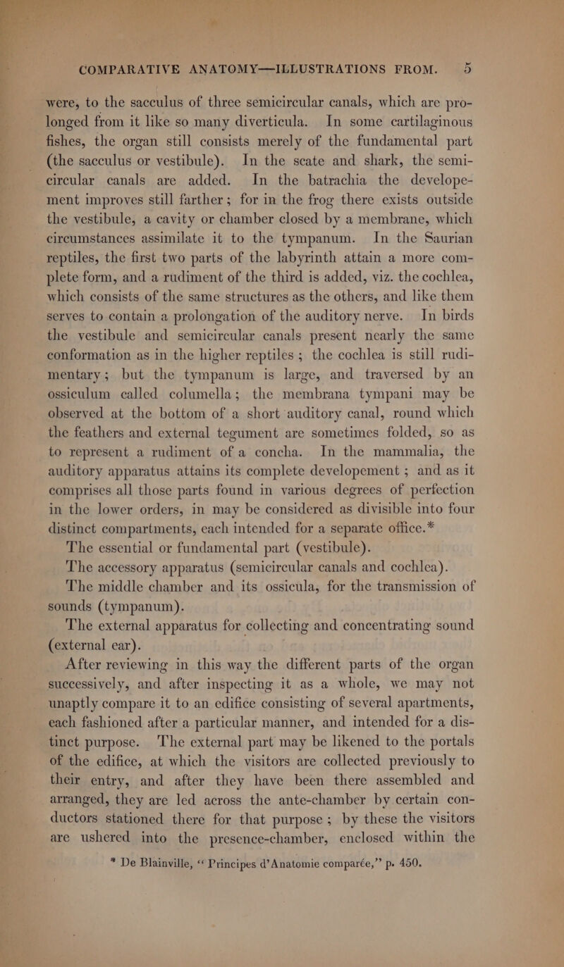 were, to the sacculus of three semicircular canals, which are pro- longed from it like so many diverticula. In some cartilaginous fishes, the organ still consists merely of the fundamental part (the sacculus or vestibule). In the scate and shark, the semi- circular canals are added. In the batrachia the develope- ment improves still farther; for in the frog there exists outside the vestibule, a cavity or chamber closed by a membrane, which circumstances assimilate it to the tympanum. In the Saurian reptiles, the first two parts of the labyrinth attain a more com- plete form, and a rudiment of the third is added, viz. the cochlea, which consists of the same structures as the others, and like them serves to contain a prolongation of the auditory nerve. In birds the vestibule and semicircular canals present nearly the same conformation as in the higher reptiles ; the cochlea is still rudi- mentary; but the tympanum is large, and traversed by an ossiculum called columella; the membrana tympani may be observed at the bottom of a short auditory canal, round which the feathers and external tegument are sometimes folded, so as to represent a rudiment of a concha. In the mammalia, the auditory apparatus attains its complete developement ; and as it comprises al] those parts found in various degrees of perfection in the lower orders, in may be considered as divisible into four distinct compartments, each intended for a separate office.* The essential or fundamental part (vestibule). The accessory apparatus (semicircular canals and cochlea). The middle chamber and its ossicula, for the transmission of sounds (tympanum). The external apparatus for collecting and concentrating sound (external ear). | After reviewing in this way the different parts of the organ successively, and after inspecting it as a whole, we may not unaptly compare it to an edifice consisting of several apartments, each fashioned after a particular manner, and intended for a dis- tinct purpose. The external part may be likened to the portals of the edifice, at which the visitors are collected previously to their entry, and after they have been there assembled and arranged, they are led across the ante-chamber by certain con- ductors stationed there for that purpose ; by these the visitors are ushered into the presence-chamber, enclosed within the * De Blainville, “‘ Principes d’Anatomie comparée,” p. 450,