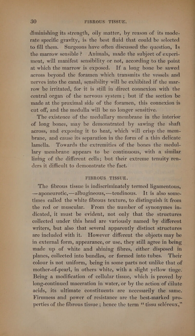 diminishing its strength, oily matter, by reason of its mode- rate specific gravity, is the best fluid that could be selected to fill them. Surgeons have often discussed the question, Is the marrow sensible? Animals, made the subject of experi- ment, will manifest sensibility or not, according to the point at which the marrow is exposed. If a long bone be sawed across beyond the foramen which transmits the vessels and nerves into the canal, sensibility will be exhibited if the mar- row be irritated, for it is still in direct connexion with the central organ of the nervous system; but if the section be made at the proximal side of the foramen, this connexion is cut off, and the medulla will be no longer sensitive. The existence of the medullary membrane in the interior of long bones, may be demonstrated by sawing the shaft across, and exposing it to heat, which will crisp the mem- brane, and cause its separation in the form of a thin delicate lamella. Towards the extremities of the bones the medul- lary membrane appears to be continuous, with a similar lining of the different cells; but their extreme tenuity ren- ders it difficult to demonstrate the fact. FIBROUS TISSUE. The fibrous tissue is indiscriminately termed ligamentous, — aponeurotic, —albugineous,—tendinous. It is also some- times called the white fibrous texture, to distinguish it from the red or muscular. From the number of synonymes in- dicated, it must be evident, not only that the structures collected under this head are variously named by different writers, but also that several apparently distinct structures are included with it. However different the objects may be in external form, appearance, or use, they still agree in being made up of white and shining fibres, either disposed in planes, collected into bundles, or formed into tubes. Their colour is not uniform, being in some parts not unlike that of mother-of-pearl, in others white, with a slight yellow tinge. Being a modification of cellular tissue, which is proved by long-continued maceration in water, or by the action of dilute acids, its ultimate constituents are necessarily the same. Firmness and power of resistance are the best-marked pro- perties of the fibrous tissue ; hence the term “tissu scléreux,”