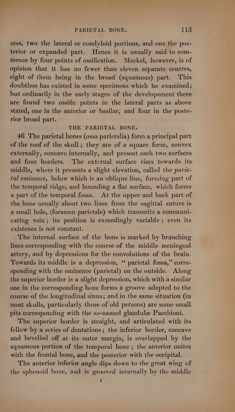 PARIETAL BONE. }ia cess, two the lateral or condyloid portions, and one the pos- terior or expanded part. Hence it is usually said to com- mence by four points of ossification. Meckel, however, is of opinion that it has no fewer than eleven separate centres, eight of them being in the broad (squamous) part. This doubtless has existed in some specimens which he examined; but ordinarily in the early stages of the developement there are found two ossific points in the lateral parts as above stated, one in the anterior or basilar, and four in the poste- rior broad part. THE PARIETAL BONE. 46. The parietal bones (ossa parietalia) form a principal part of the roof of the skull; they are of a square form, convex externally, concave internally, and present each two surfaces and four borders. The external surface rises towards its middle, where it presents a slight elevation, called the parve- tal eminence, below which is an oblique line, forming part of the temporal ridge, and bounding a flat surface, which forms a part of the temporal fossa. At the upper and back part of the bone usually about two lines from the sagittal suture is a small hole, (foramen parietale) which transmits a communi- cating vein; its position is exceedingly variable ; even its existence Is not constant. The internal surface of the bone is marked by branching lines corresponding with the course of the middle meningeal artery, and by depressions for the convolutions of the brain. Towards its middle is a depression, ‘‘ parietal fossa,” corre- sponding with the eminence (parietal) on the outside. Along the superior border is a slight depression, which with a similar one in the corresponding bone forms a groove adapted to the course of the longitudinal sinus; and in the same situation (in most skulls, particularly those of old persons) are some small pits corresponding with the so-named glandulz Pacchioni. The superior border is straight, and articulated with its fellow by a series of dentations; the inferior border, concave and bevelled off at its outer margin, is overlapped by the _ squamous portion of the temporal bone; the anterior unites with the frontal bone, and the posterior with the occipital. The anterior inferior angle dips down to the great wing of the sphenoid bone, aad is grooved internally by the middle i