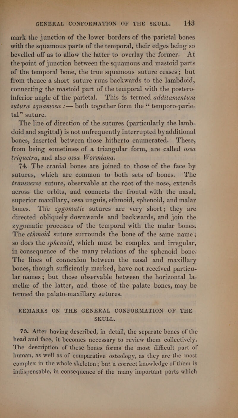 mark the junction of the lower borders of the parietal bones with the squamous parts of the temporal, their edges being so bevelled off as to allow the latter to overlay the former. At the point of junction between the squamous and mastoid parts of the temporal bone, the true squamous suture ceases; but from thence a short suture runs backwards to the lambdoid, connecting the mastoid part of the temporal with the postero- inferior angle of the parietal. This is termed additamentum suture squamoseé :— both together form the “‘ temporo-parie- tal” suture. The line of direction of the sutures (particularly the lamb- doid and sagittal) is not unfrequently interrupted by additional bones, inserted between those hitherto enumerated. These, from being sometimes of a triangular form, are called ossa triquetra, and also ossa Wormiana. 74, The cranial bones are joined to those of the face by sutures, which are common to both sets of bones. The transverse suture, observable at the roct of the nose, extends across the orbits, and connects the frontal with the nasal, superior maxillary, ossa unguis, ethmoid, sphenoid, and malar bones. The zygomatic sutures are very short; they are directed obliquely downwards and backwards, and join the zygomatic processes of the temporal with the malar bones. The ethmoid suture surrounds the bone of the same name; so does the sphenoid, which must be complex and irregular, in Consequence of the many relations of the sphenoid bone. The lines of connexion between the nasal and maxillary bones, though sufficiently marked, have not received particu- lar names; but those observable between the horizontal la- mellz of the latter, and those of the palate bones, may be termed the palato-maxillary sutures. REMARKS ON THE GENERAL CONFORMATION OF THE SKULL. 75. After having described, in detail, the separate bones of the head and face, it becomes necessary to review them collectively. The description of these bones forms the most difficult part of human, as well as of comparative osteology, as they are the most complex in the whole skeleton ; but a correct knowledge of them is indispensable, in consequence of the many important parts which