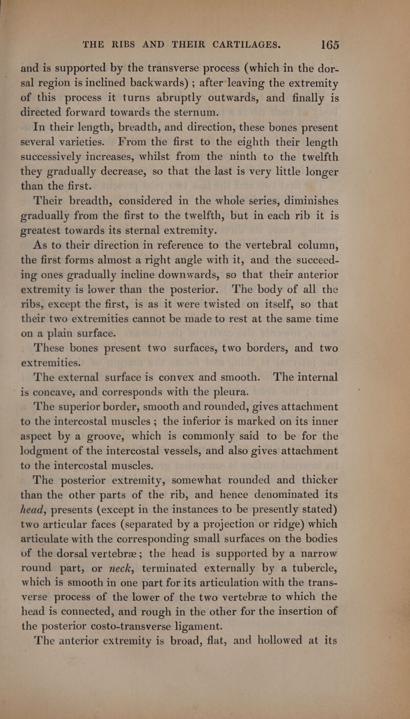 and is supported by the transverse process (which in the dor- sal region is inclined backwards) ; after‘leaving the extremity of this process it turns abruptly outwards, and finally is directed forward towards the sternum. In their length, breadth, and direction, these bones present several varieties. From the first to the eighth their length successively increases, whilst from the ninth to the twelfth they gradually decrease, so that the last is very little longer than the first. Their breadth, considered in the whole series, diminishes gradually from the first to the twelfth, but in each rib it is greatest towards its sternal extremity. As to their direction in reference to the vertebral column, the first forms almost a right angle with it, and the succeed- ing ones gradually incline downwards, so that their anterior extremity is lower than the posterior. The body of all the ribs, except the first, is as it were twisted on itself, so that their two extremities cannot be made to rest at the same time on a plain surface. These bones present two surfaces, two borders, and two extremities. The external surface is convex and smooth. The internal is concave, and corresponds with the pleura. The superior border, smooth and rounded, gives attachment to the intercostal muscles ; the inferior is marked on its inner aspect by a groove, which is commonly said to be for the lodgment of the intercostal vessels, and also gives attachment to the intercostal muscles. The posterior extremity, somewhat rounded and thicker than the other parts of the rib, and hence denominated its head, presents (except in the instances to be presently stated) two articular faces (separated by a projection or ridge) which articulate with the corresponding small surfaces on the bodies uf the dorsal vertebree; the head is supported by a narrow round part, or neck, terminated externally by a tubercle, which is smooth in one part for its articulation with the trans- verse process of the lower of the two vertebrze to which the head is connected, and rough in the other for the insertion of the posterior costo-transverse ligament. The anterior extremity is broad, flat, and hollowed at its