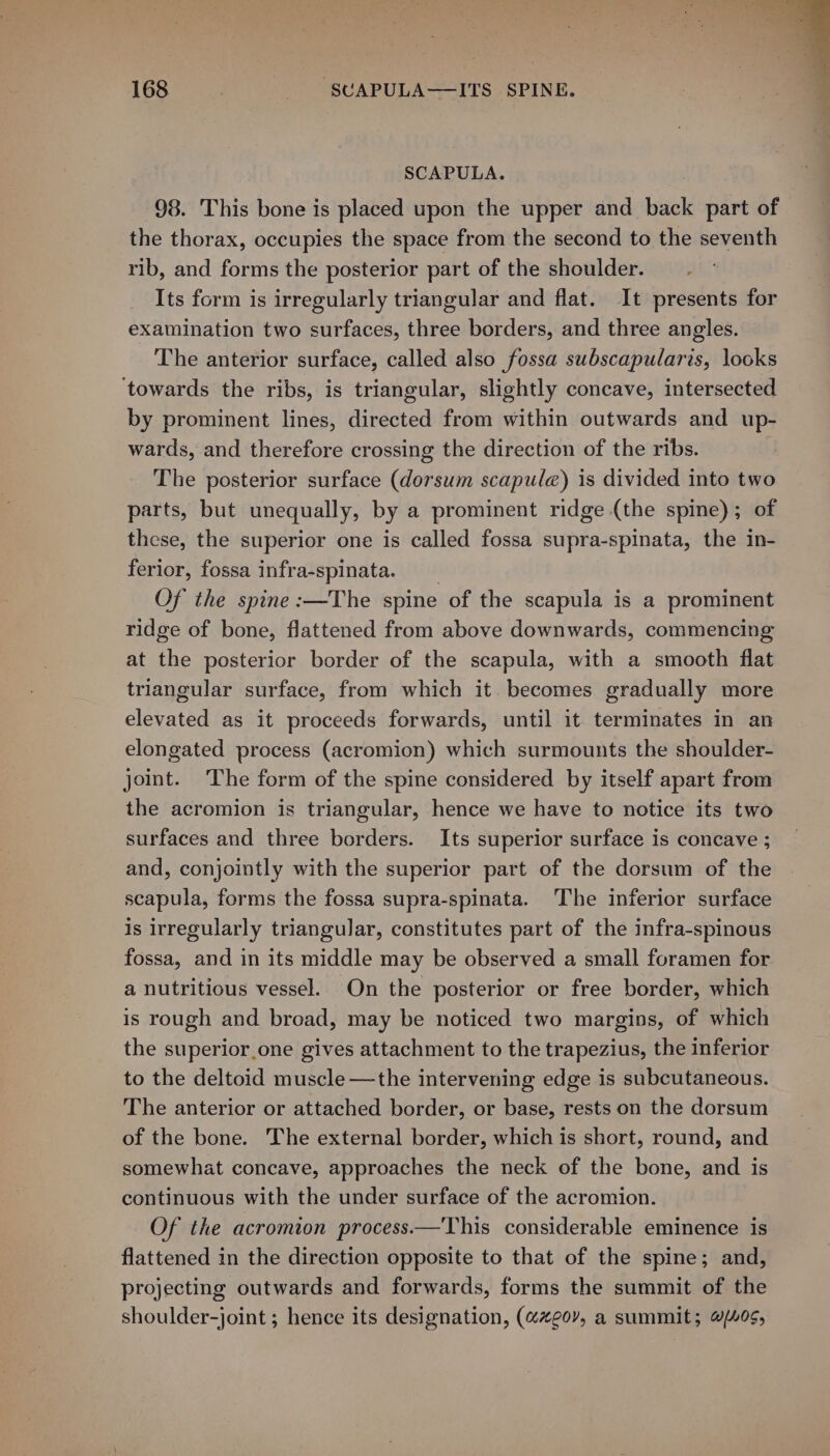 SCAPULA. 3 98. This bone is placed upon the upper and back part of the thorax, occupies the space from the second to the seventh rib, and forms the posterior part of the shoulder. Its form is irregularly triangular and flat. It presents for examination two surfaces, three borders, and three angles. The anterior surface, called also fossa subscapularis, looks ‘towards the ribs, is triangular, slightly concave, intersected by prominent lines, directed from within outwards and up- wards, and therefore crossing the direction of the ribs. The posterior surface (dorsum scapule) is divided into two parts, but unequally, by a prominent ridge (the spine); of these, the superior one is called fossa supra-spinata, the in- ferior, fossa infra-spinata. Of the spine:—The spine of the scapula is a prominent ridge of bone, flattened from above downwards, commencing at the posterior border of the scapula, with a smooth flat triangular surface, from which it becomes gradually more elevated as it proceeds forwards, until it terminates in an elongated process (acromion) which surmounts the shoulder- joint. The form of the spine considered by itself apart from the acromion is triangular, hence we have to notice its two surfaces and three borders. Its superior surface is concave ; and, conjointly with the superior part of the dorsum of the scapula, forms the fossa supra-spinata. ‘The inferior surface is irregularly triangular, constitutes part of the infra-spinous fossa, and in its middle may be observed a small foramen for a nutritious vessel. On the posterior or free border, which is rough and broad, may be noticed two margins, of which the superior.one gives attachment to the trapezius, the inferior to the deltoid muscle —the intervening edge is subcutaneous. The anterior or attached border, or base, rests on the dorsum of the bone. The external border, which is short, round, and somewhat concave, approaches the neck of the bone, and is continuous with the under surface of the acromion. Of the acromion process.—This considerable eminence is flattened in the direction opposite to that of the spine; and, projecting outwards and forwards, forms the summit of the shoulder-joint ; hence its designation, (@~eo”, a summit; 4/105,