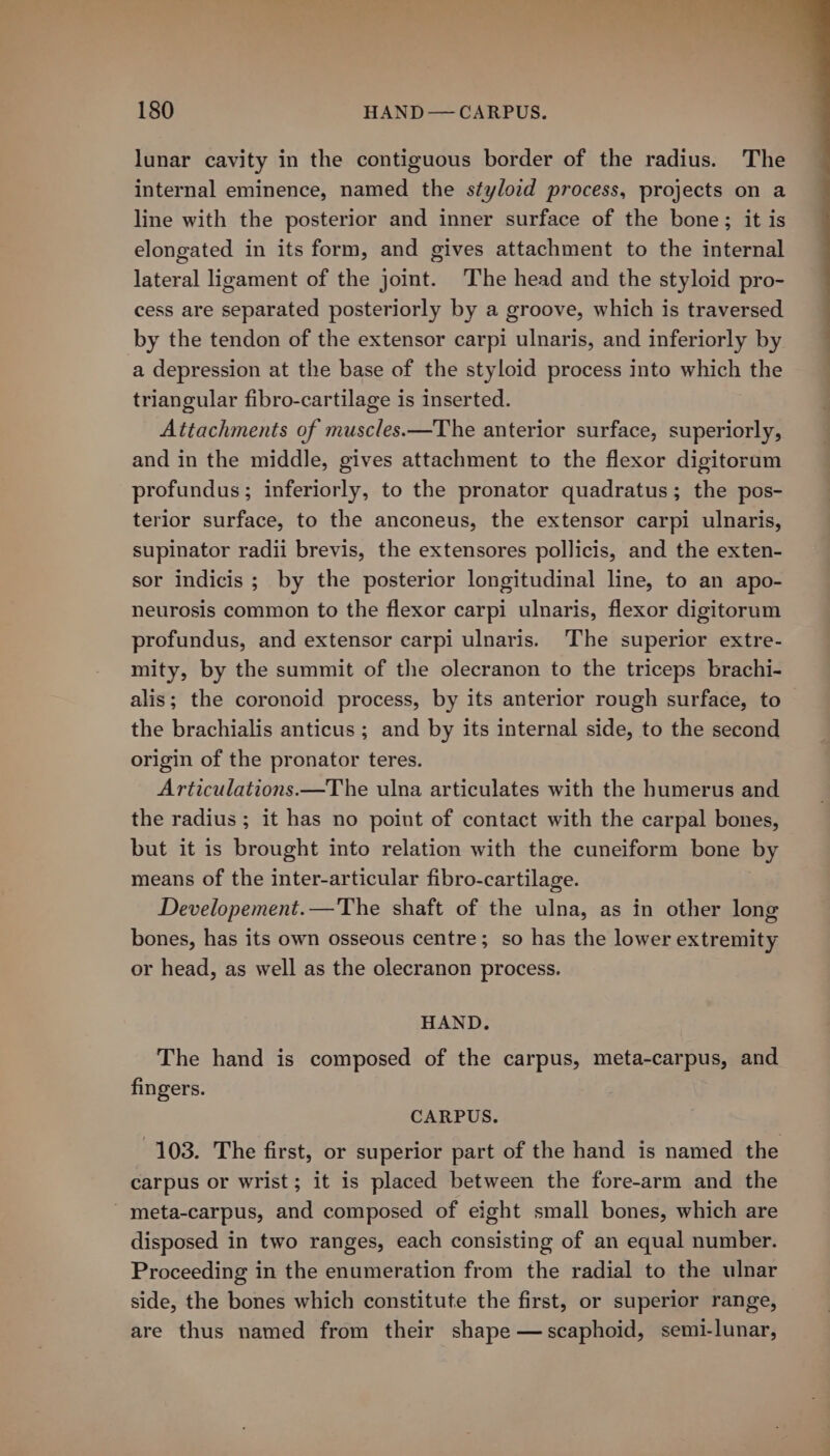 lunar cavity in the contiguous border of the radius. The internal eminence, named the stylo¢d process, projects on a line with the posterior and inner surface of the bone; it is elongated in its form, and gives attachment to the internal lateral ligament of the joint. The head and the styloid pro- cess are separated posteriorly by a groove, which is traversed by the tendon of the extensor carpi ulnaris, and inferiorly by a depression at the base of the styloid process into which the triangular fibro-cartilage is inserted. Attachments of muscles.—The anterior surface, superiorly, and in the middle, gives attachment to the flexor digitorum profundus ; inferiorly, to the pronator quadratus; the pos- terior surface, to the anconeus, the extensor carpi ulnaris, supinator radii brevis, the extensores pollicis, and the exten- sor indicis ; by the posterior longitudinal line, to an apo- neurosis common to the flexor carpi ulnaris, flexor digitorum profundus, and extensor carpi ulnaris. The superior extre- mity, by the summit of the olecranon to the triceps brachi- alis; the coronoid process, by its anterior rough surface, to the brachialis anticus ; and by its internal side, to the second origin of the pronator teres. Articulations.—The ulna articulates with the humerus and the radius ; it has no point of contact with the carpal bones, but it is brought into relation with the cuneiform bone by means of the inter-articular fibro-cartilage. Developement.—'The shaft of the ulna, as in other long bones, has its own osseous centre; so has the lower extremity or head, as well as the olecranon process. HAND. The hand is composed of the carpus, meta-carpus, and fingers. CARPUS. 103. The first, or superior part of the hand is named the carpus or wrist; it is placed between the fore-arm and the -meta-carpus, and composed of eight small bones, which are disposed in two ranges, each consisting of an equal number. Proceeding in the enumeration from the radial to the ulnar side, the bones which constitute the first, or superior range, are thus named from their shape —scaphoid, semi-lunar,