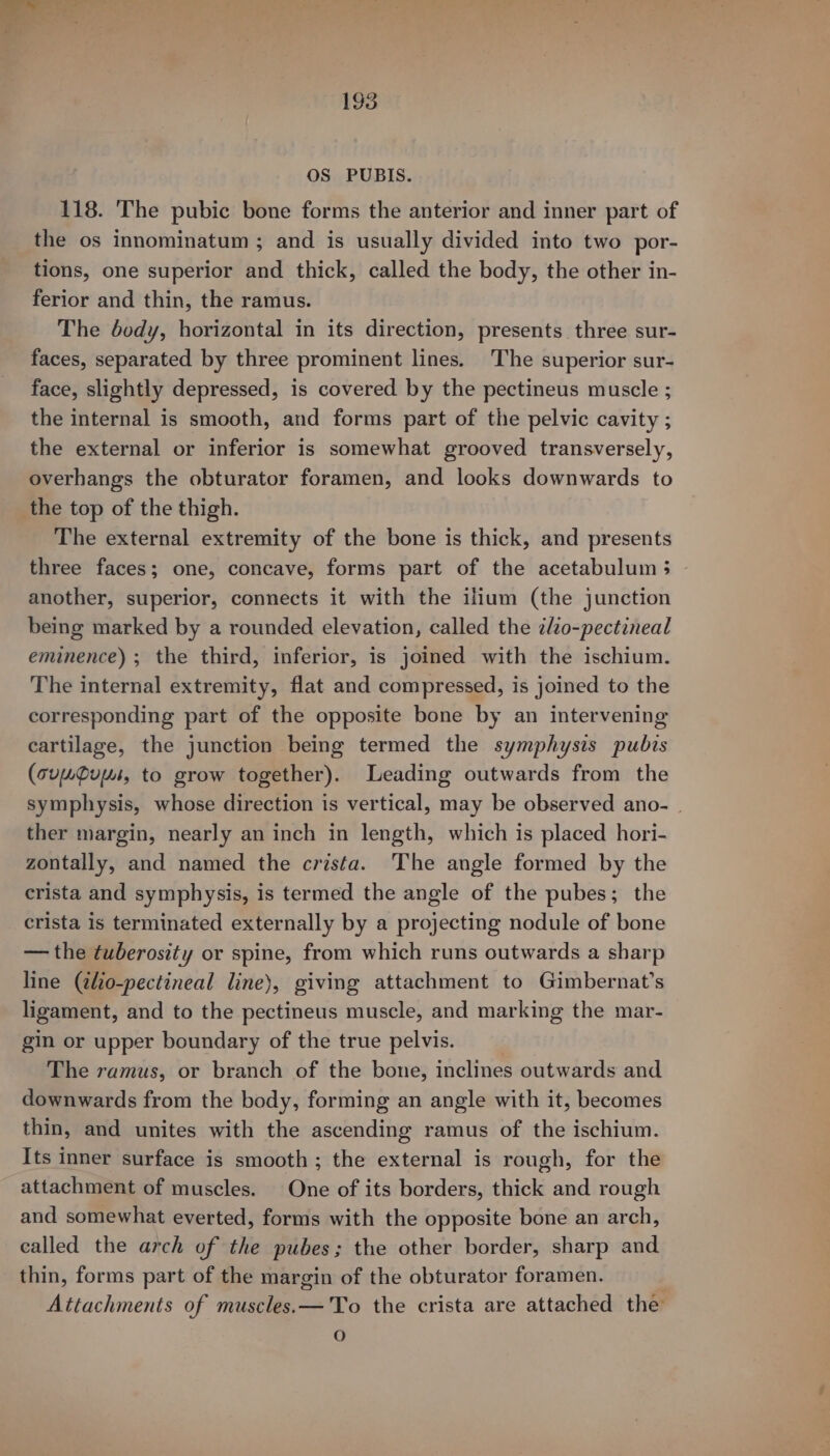 OS PUBIS. 118. The pubic bone forms the anterior and inner part of the os innominatum; and is usually divided into two por- tions, one superior and thick, called the body, the other in- ferior and thin, the ramus. The dody, horizontal in its direction, presents three sur- faces, separated by three prominent lines. The superior sur- face, slightly depressed, is covered by the pectineus muscle ; the internal is smooth, and forms part of the pelvic cavity ; the external or inferior is somewhat grooved transversely, overhangs the obturator foramen, and looks downwards to the top of the thigh. The external extremity of the bone is thick, and presents three faces; one, concave, forms part of the acetabulum 3 another, superior, connects it with the ilium (the junction being marked by a rounded elevation, called the ¢lzo-pectineal eminence) ; the third, inferior, is joined with the ischium. The internal extremity, flat and compressed, is joined to the corresponding part of the opposite bone by an intervening cartilage, the junction being termed the symphysis pubis (suwdui, to grow together). Leading outwards from the symphysis, whose direction is vertical, may be observed ano- | ther margin, nearly an inch in length, which is placed hori- zontally, and named the crista. The angle formed by the crista and symphysis, is termed the angle of the pubes; the crista is terminated externally by a projecting nodule of bone — the tuberosity or spine, from which runs outwards a sharp line (tlio-pectineal line), giving attachment to Gimbernat’s ligament, and to the pectineus muscle, and marking the mar- gin or upper boundary of the true pelvis. ! The ramus, or branch of the bone, inclines outwards and downwards from the body, forming an angle with it, becomes thin, and unites with the ascending ramus of the ischium. Its inner surface is smooth ; the external is rough, for the attachment of muscles. One of its borders, thick and rough and somewhat everted, forms with the opposite bone an arch, called the arch of the pubes; the other border, sharp and thin, forms part of the margin of the obturator foramen. | Attachments of muscles.—'To the crista are attached the O