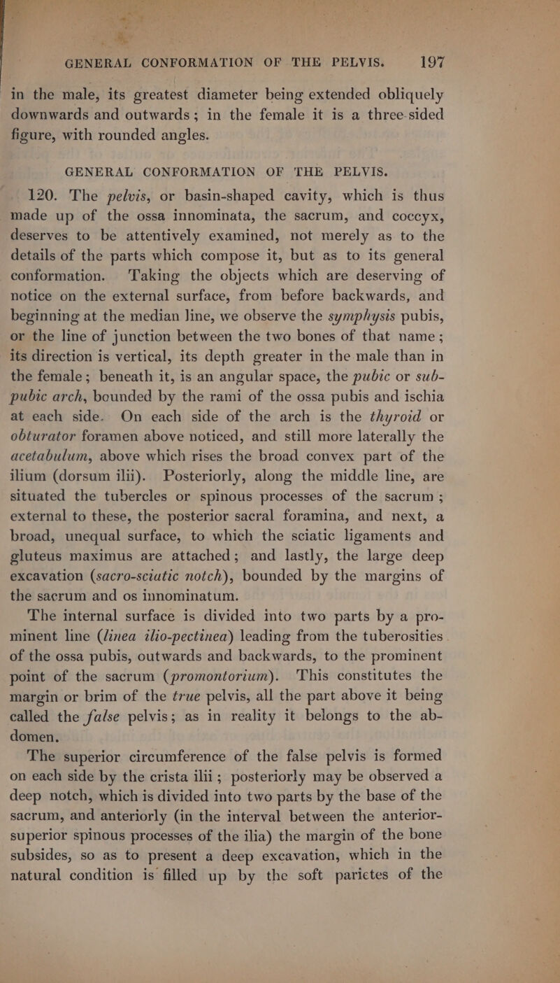 i , ‘4 ~ ; - GENERAL CONFORMATION OF THE PELYVIS. 197 in the male, its greatest diameter being extended obliquely downwards and outwards; in the female it is a three-sided figure, with rounded angles. GENERAL CONFORMATION OF THE PELVIS. 120. The pelvis, or basin-shaped cavity, which is thus made up of the ossa innominata, the sacrum, and coccyx, deserves to be attentively examined, not merely as to the details of the parts which compose it, but as to its general conformation. Taking the objects which are deserving of notice on the external surface, from before backwards, and beginning at the median Jine, we observe the symphysis pubis, or the line of junction between the two bones of that name ; its direction is vertical, its depth greater in the male than in the female; beneath it, is an angular space, the pubic or sub- pubic arch, bounded by the rami of the ossa pubis and ischia at each side. On each side of the arch is the thyrozd or obturator foramen above noticed, and still more laterally the acetabulum, above which rises the broad convex part of the ilium (dorsum ilii). Posteriorly, along the middle line, are situated the tubercles or spinous processes of the sacrum ; external to these, the posterior sacral foramina, and next, a broad, unequal surface, to which the sciatic ligaments and gluteus maximus are attached; and lastly, the large deep excavation (sacro-sciutic notch), bounded by the margins of the sacrum and os innominatum. The internal surface is divided into two parts by a pro- minent line (dinea tlio-pectinea) leading from the tuberosities of the ossa pubis, outwards and backwards, to the prominent point of the sacrum (promontorium). This constitutes the margin or brim of the érue pelvis, all the part above it being called the false pelvis; as in reality it belongs to the ab- domen. The superior circumference of the false pelvis is formed on each side by the crista ilii; posteriorly may be observed a deep notch, which is divided into two parts by the base of the sacrum, and anteriorly (in the interval between the anterior- superior spinous processes of the ilia) the margin of the bone subsides, so as to present a deep excavation, which in the natural condition is filled up by the soft parictes of the