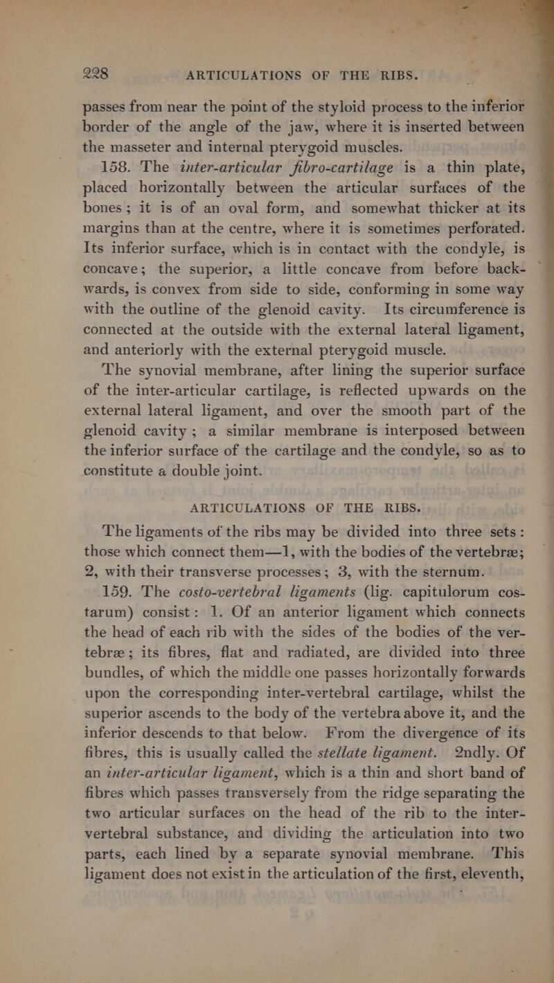 passes from near the point of the styloid process to the inferior border of the angle of the jaw, where it is inserted between the masseter and internal pterygoid muscles. 158. The anter-articular fibro-cartilage is a thin plate, placed horizontally between the articular surfaces of the — bones ; it is of an oval form, and somewhat thicker at its margins than at the centre, where it is sometimes perforated. Its inferior surface, which is in contact with the condyle, is concave; the superior, a little concave from before back- wards, is convex from side to side, conforming in some way with the outline of the glenoid cavity. Its circumference is connected at the outside with the external lateral ligament, and anteriorly with the external pterygoid muscle. The synovial membrane, after lining the superior surface of the inter-articular cartilage, is- reflected upwards on the external lateral ligament, and over the smooth part of the glenoid cavity ; a similar membrane is interposed between the inferior surface of the cartilage and the condyle, so as to constitute a double joint. ARTICULATIONS OF THE RIBS. The ligaments of the ribs may be divided into three sets: those which connect them—1, with the bodies of the vertebre; 2, with their transverse processes; 3, with the sternum. 159. The costo-vertebral ligaments (lig. capitulorum cos- tarum) consist: 1. Of an anterior ligament which connects the head of each rib with the sides of the bodies of the ver- tebree ; its fibres, flat and radiated, are divided into three bundles, of which the middle one passes horizontally forwards upon the corresponding inter-vertebral cartilage, whilst the superior ascends to the body of the vertebra above it, and the inferior descends to that below. From the divergence of its fibres, this is usually called the stellate igament. 2ndly. Of an inter-articular ligament, which is a thin and short band of fibres which passes transversely from the ridge separating the two articular surfaces on the head of the rib to the inter- vertebral substance, and dividing the articulation into two parts, each lined by a separate synovial membrane. This ligament does not exist in the articulation of the first, eleventh,