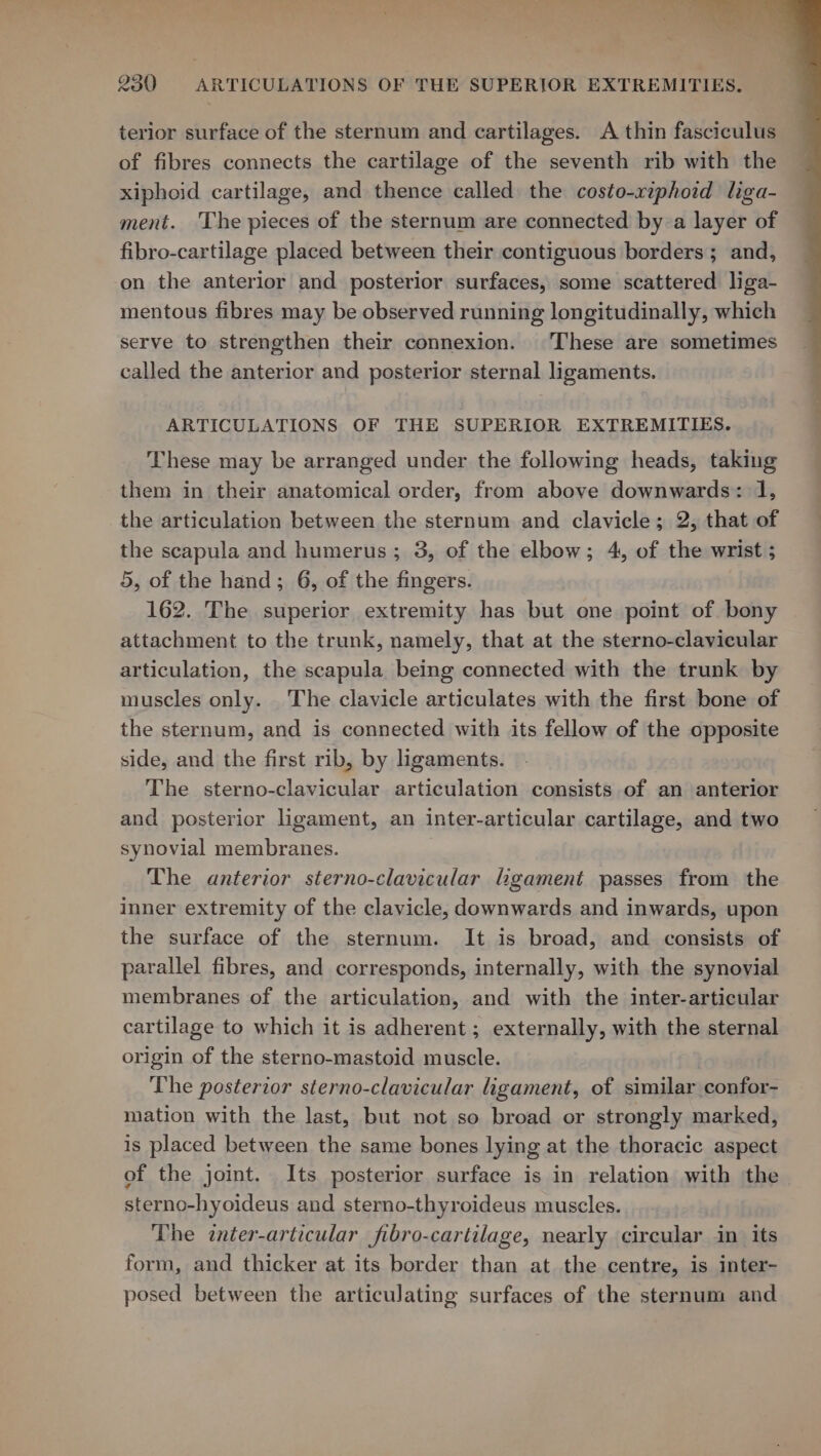 terior surface of the sternum and cartilages. A thin fasciculus of fibres connects the cartilage of the seventh rib with the xiphoid cartilage, and thence called the costo-riphoid liga- ment. The pieces of the sternum are connected by a layer of fibro-cartilage placed between their contiguous borders ; and, on the anterior and posterior surfaces, some scattered liga- mentous fibres may be observed running longitudinally, which serve to strengthen their connexion. These are sometimes called the anterior and posterior sternal ligaments. ARTICULATIONS OF THE SUPERIOR EXTREMITIES. These may be arranged under the following heads, taking them in their anatomical order, from above downwards: 1, the articulation between the sternum and clavicle; 2, that of the scapula and humerus; 3, of the elbow; 4, of the wrist ; 5, of the hand; 6, of the fingers. 162. The superior extremity has but one point of bony attachment to the trunk, namely, that at the sterno-clavicular articulation, the scapula being connected with the trunk by muscles only. The clavicle articulates with the first bone of the sternum, and is connected with its fellow of the opposite side, and the first rib, by ligaments. The sterno-clavicular articulation consists of an anterior and posterior ligament, an inter-articular cartilage, and two synovial membranes. The anterior sterno-clavicular Lgament passes from the inner extremity of the clavicle, downwards and inwards, upon the surface of the sternum. It is broad, and consists of parallel fibres, and corresponds, internally, with the synovial membranes of the articulation, and with the inter-articular cartilage to which it is adherent; externally, with the sternal origin of the sterno-mastoid muscle. The posterior sterno-clavicular ligament, of similar confor- mation with the last, but not so broad or strongly marked, is placed between the same bones lying at the thoracic aspect of the joint. Its posterior surface is in relation with the sterno-hyoideus and sterno-thyroideus muscles. The inter-articular fibro-cartilage, nearly circular in its form, and thicker at its border than at the centre, is inter- posed between the articulating surfaces of the sternum and