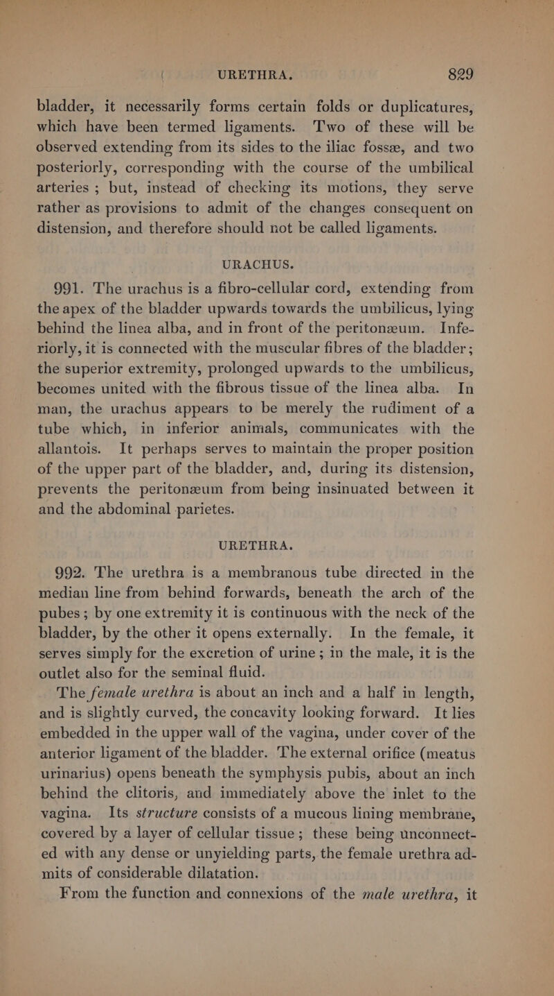 bladder, it necessarily forms certain folds or duplicatures, which have been termed ligaments. ‘Two of these will be observed extending from its sides to the iliac fossee, and two posteriorly, corresponding with the course of the umbilical arteries ; but, instead of checking its motions, they serve rather as provisions to admit of the changes consequent on distension, and therefore should not be called ligaments. URACHUS. 991. The urachus is a fibro-cellular cord, extending from the apex of the bladder upwards towards the umbilicus, lying behind the linea alba, and in front of the peritonazum. Infe- riorly, it is connected with the muscular fibres of the bladder ; the superior extremity, prolonged upwards to the umbilicus, becomes united with the fibrous tissue of the linea alba. In man, the urachus appears to be merely the rudiment of a tube which, in inferior animals, communicates with the allantois. It perhaps serves to maintain the proper position of the upper part of the bladder, and, during its. distension, prevents the peritoneum from being insinuated between it and the abdominal parietes. URETHRA. 992. The urethra is a membranous tube directed in the median line from behind forwards, beneath the arch of the pubes; by one extremity it is continuous with the neck of the bladder, by the other it opens externally. In the female, it serves simply for the excretion of urine; in the male, it is the outlet also for the seminal fluid. The female urethra is about an inch and a half in length, and is slightly curved, the concavity looking forward. It lies embedded in the upper wall of the vagina, under cover of the anterior ligament of the bladder. The external orifice (meatus urinarius) opens beneath the symphysis pubis, about an inch behind the clitoris, and immediately above the inlet to the vagina. Its structure consists of a mucous lining membrane, covered by a layer of cellular tissue; these being unconnect- ed with any dense or unyielding parts, the female urethra ad- mits of considerable dilatation. From the function and connexions of the male urethra, it