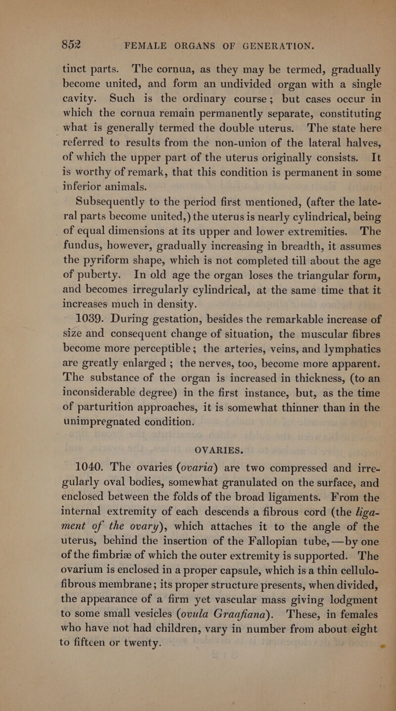 tinct parts. The cornua, as they may be termed, gradually become united, and form an undivided organ with a single cavity. Such is the ordinary course; but cases occur in which the cornua remain permanently separate, constituting what is generally termed the double uterus. The state here referred to results from the non-union of the lateral halves, of which the upper part of the uterus originally consists. It is worthy of remark, that this condition is permanent in some inferior animals. Subsequently to the period first mentioned, (after the late- ral parts become united,) the uterus is nearly cylindrical, being _ of equal dimensions at its upper and lower extremities. The fundus, however, gradually increasing in breadth, it assumes the pyriform shape, which is not completed till about the age of puberty. In old age the organ loses the triangular form, and becomes irregularly cylindrical, at the same time that it increases much in density. 1039. During gestation, besides the remarkable increase of size and consequent change of situation, the muscular fibres become more perceptible; the arteries, veins, and lymphatics are greatly enlarged ; the nerves, too, become more apparent. The substance of the organ is increased in thickness, (to an inconsiderable degree) in the first instance, but, as the time of parturition approaches, it is somewhat thinner than in the unimpregnated condition. OVARIES. 1040. The ovaries (ovaria) are two compressed and irre- gularly oval bodies, somewhat granulated on the surface, and enclosed between the folds of the broad ligaments. From the internal extremity of each descends a fibrous cord (the liga- ment of the ovary), which attaches it to the angle of the uterus, behind the insertion of the Fallopian tube, —by one of the fimbrize of which the outer extremity is supported. The ovarium is enclosed in a proper capsule, which is a thin cellulo- fibrous membrane; its proper structure presents, when divided, the appearance of a firm yet vascular mass giving lodgment to some small vesicles (ovula Graafiana). These, in females who have not had children, vary in number from about eight to fifteen or twenty. .