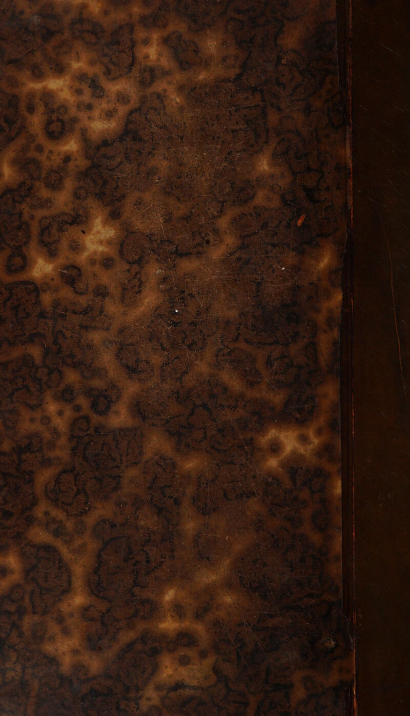 PE en DE ee RE GR BR Ce me PERLE à SPEARS + «35 snsenshsté rs | oreiimpenttnt