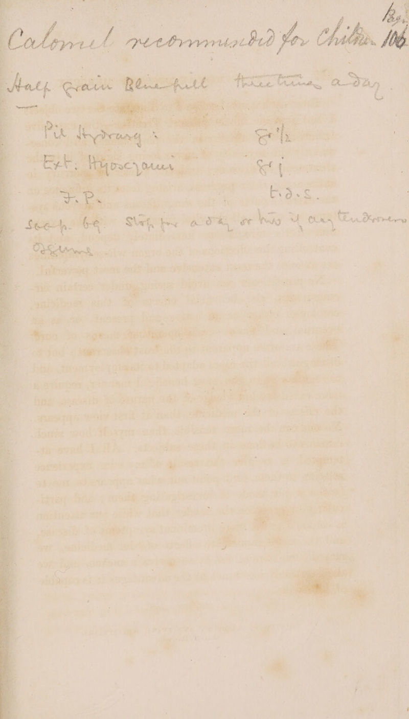 | Fee 2 | =. Sieh ites .Dtlouels SIE TEth in Te ae Beton fe Lye pth * Salis van. i nine Sel ie WRIST jee: Hi nisi: ‘tind - ae S07 Bea Tei Hae: APA m. gaineboat 2: a rar ik, We. dia Re fgg’ ee ND the to sini sag ih vee We lasting, & : a ee et ae sediesact ths ee BST KAT PET ; ae . i? hi. Mioatrety pte et botuntre paego: 4 ‘ ng oe bee rt! aes efa% wih hang soon fon Seageat - tn nigel RI ad aril hte ee -slyapes work oater: oedt. ati bare. ae eed eee anh serern Acth. ancl 12 assot ; ; S.. Jadebrstries + vet he phoega: 0d) om ; Snapetet:, het {Ag wi enedCe srk . Opec atng ‘a> peBe DWE yas ik SRE sa ev RE : Bis A, Myers BM ay Pi. sansvily to amet. > & ns Fi te seit Leet 4 ma? 7