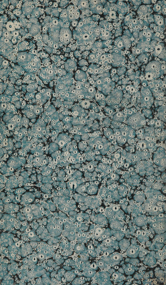 digitised image 2