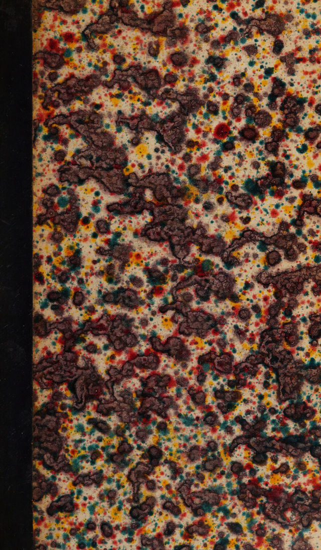 digitised image 1