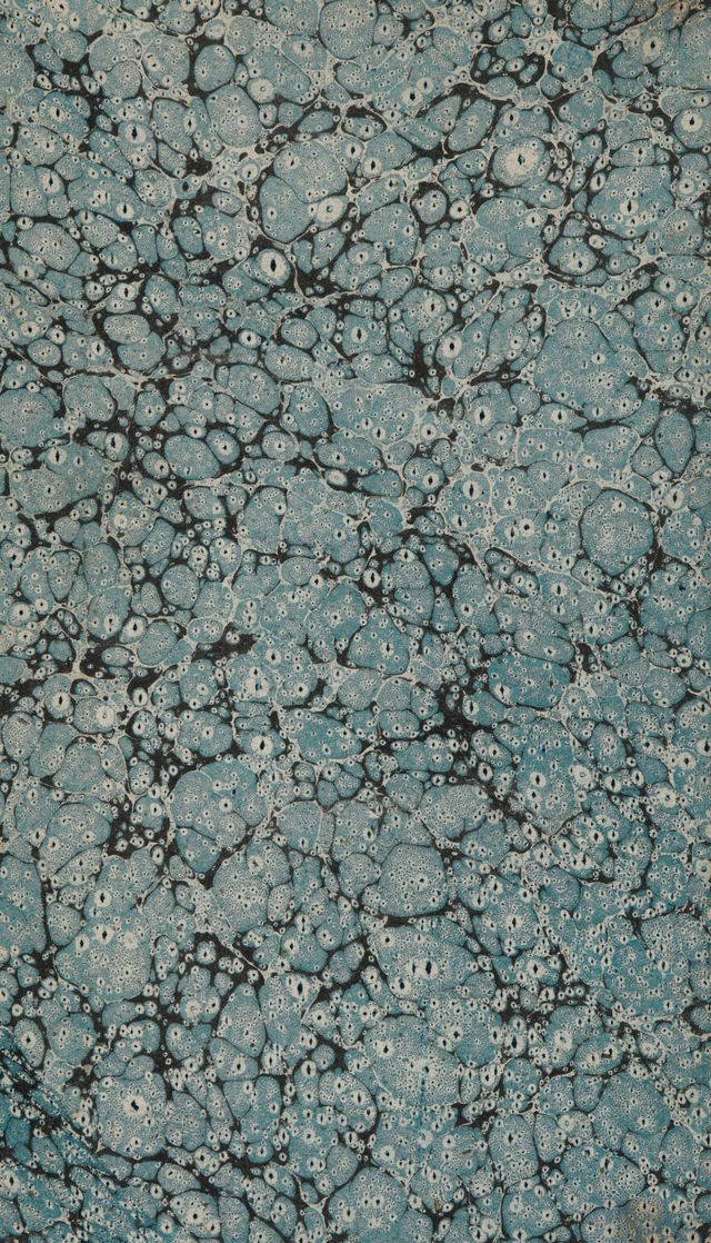 digitised image 2