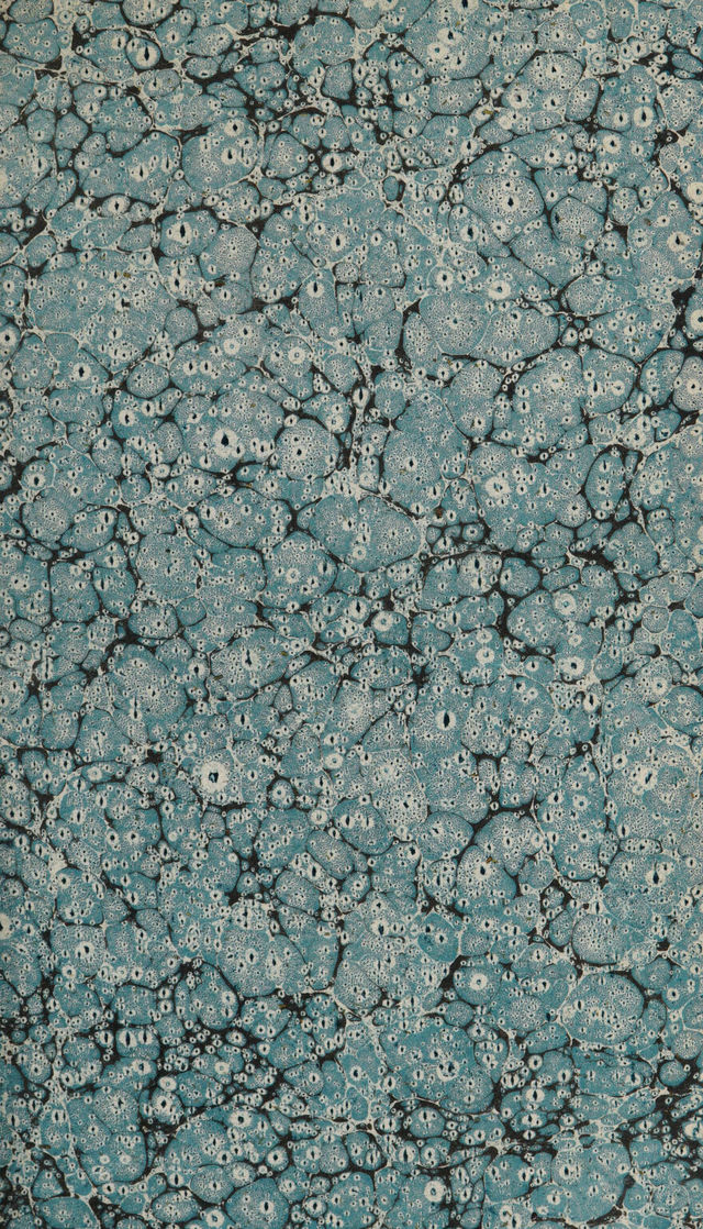 digitised image 3