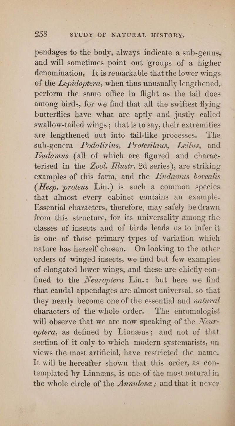 pendages to the body, always indicate a sub-genus, and will sometimes point out groups of a higher denomination, It is remarkable that the lower wings of the Lepidoptera, when thus unusually lengthened, perform the same office in flight as the tail does among birds, for we find that all the swiftest flying butterflies have what are aptly and justly called swallow-tailed wings ; that is to say, their extremities are lengthened out into tail-like processes. The sub-genera Podalrius, Protesilaus, Letlus, and Eudamus (all of which are figured and charac- terised in the Zool. Iilustr. 2d series), are striking examples of this form, and the Eudamus borealis (Hesp. ‘proteus Lin.) is such a common species that almost every cabinet contains an example. Essential characters, therefore, may safely be drawn from this structure, for its universality among the classes of insects and of birds leads us to infer it is one of those primary types of variation which nature has herself chosen. On looking to the other orders of winged insects, we find but few examples of elongated lower wings, and these are chiefly con- fined to the Neuroptera Lin.: but here we find that caudal appendages are almost universal, so that they nearly become one of the essential and natural characters of the whole order. The entomologist will observe that we are now speaking of the Neur- optera, as defined by Linneeus; and not of that section of it only to which modern systematists, on views the most artificial, have restricted the name. It will be hereafter shown that this order, as con- templated by Linneus, is one of the most natural in the whole circle of the Annulose; and that it never