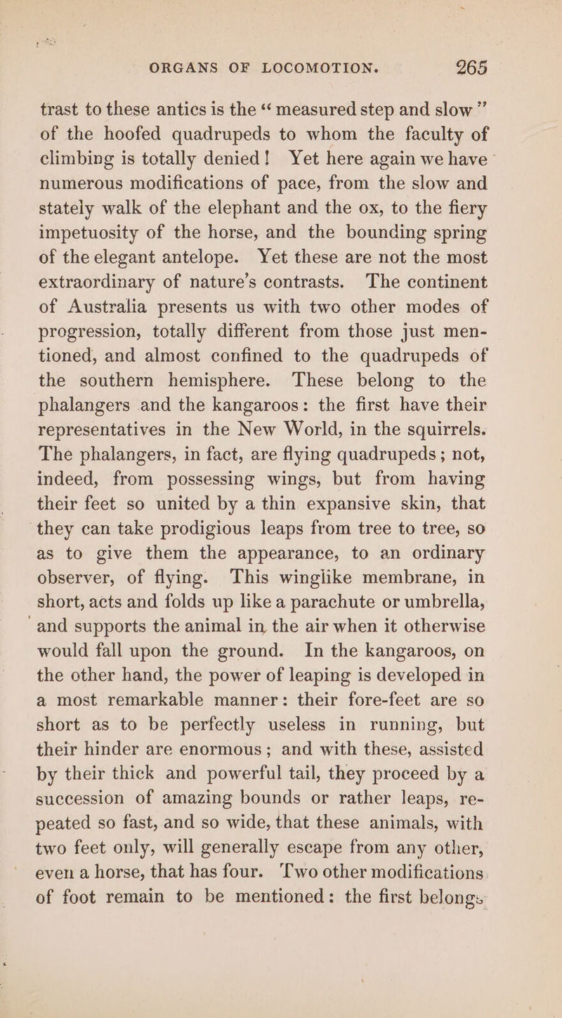 trast to these antics is the “‘ measured step and slow ” of the hoofed quadrupeds to whom the faculty of climbing is totally denied! Yet here again we have numerous modifications of pace, from the slow and stately walk of the elephant and the ox, to the fiery impetuosity of the horse, and the bounding spring of the elegant antelope. Yet these are not the most extraordinary of nature’s contrasts. The continent of Australia presents us with two other modes of progression, totally different from those just men- tioned, and almost confined to the quadrupeds of the southern hemisphere. These belong to the phalangers and the kangaroos: the first have their representatives in the New World, in the squirrels. The phalangers, in fact, are flying quadrupeds ; not, indeed, from possessing wings, but from having their feet so united by a thin expansive skin, that they can take prodigious leaps from tree to tree, so as to give them the appearance, to an ordinary observer, of flying. This winglike membrane, in short, acts and folds up like a parachute or umbrella, and supports the animal in the air when it otherwise would fall upon the ground. In the kangaroos, on the other hand, the power of leaping is developed in a most remarkable manner: their fore-feet are so short as to be perfectly useless in running, but their hinder are enormous; and with these, assisted by their thick and powerful tail, they proceed by a succession of amazing bounds or rather leaps, re- peated so fast, and so wide, that these animals, with two feet only, will generally escape from any other, even a horse, that has four. ‘Two other modifications of foot remain to be mentioned: the first belongs