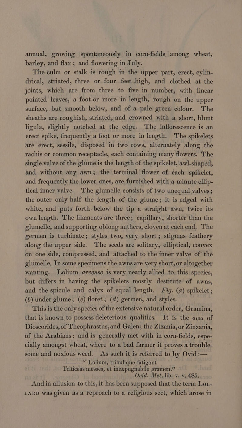 barley, and flax ; and flowering in July. The culm or stalk is rough in the upper part, erect, cylin- drical, striated, three or four feet high, and clothed at the joints, which are from three to five in number, with linear pointed leaves, a foot or more in length, rough on the upper surface, but smooth below, and of a pale green colour. The sheaths are roughish, striated, and crowned with a short, blunt ligula, slightly notched at the edge. The inflorescence is an erect spike, frequently a foot or more in length. The spikelets are erect, sessile, disposed in two rows, alternately along the rachis or common receptacle, each containing many flowers. The single valve of the glume is the length of the spikelet, awl-shaped, and without any awn; the terminal flower of each spikelet, and frequently the lower ones, are furnished with a minute ellip- tical inner valve. ‘The glumelle consists of two unequal valves; the outer only half the length of the glume; it is edged with white, and puts forth. below the tip a straight awn, twice its own length. The filaments are three; capillary, shorter than the glumelle, and supporting oblong anthers, cloven at each end. The germen is turbinate; styles two, very short; stigmas feathery along the upper side. The seeds are solitary, elliptical, convex on one side, compressed, and attached to the inner valve of the glumelle. In some specimens the awns are very short, or altogether wanting. Lolium arvense is very nearly allied to. this species, but differs in having the spikelets mostly destitute of awns, and the spicule and calyx of equal length. ig. (a) spikelet ; (b) under glume; (c) floret ; (d) germen, and styles. This is the only species of the extensive natural order, Gramina, that is known to possess deleterious qualities. It is the apa of Dioscorides, of Theophrastus, and Galen; the Zizania, or Zinzania, of the Arabians: and is generally met with in corn-fields, espe- cially amongst wheat, where to a bad farmer it proves a trouble- some and noxious weed. As such it is referred to by Ovid :— “ Lolium, tribuliqne fatigant Triticeas messes, et mexpugnabile gramen.” Ovid. Met. lib. v. v. 485. And in allusion to this, it has been supposed that the term Lot- LARD was given as a reproach to a religious sect, which arose in