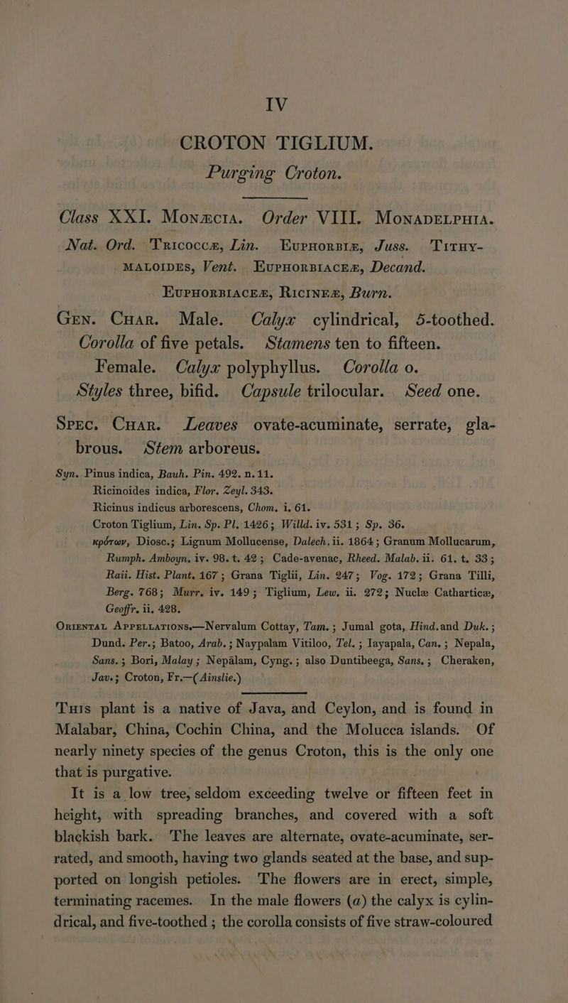 CROTON TIGLIUM. Purging Croton. Class XXI. Mowcta. Order VIII. Monapevputia. Nat. Ord. 'Tricocca, Lin. Eurnorsin, Juss. Trruy- MALOIDES, Vent. KurHorBiacrEs, Decand. EvrnorsiaceEa, Ricineaz, Burn. Gen. Cuar. Male. Calyx cylindrical, 5-toothed. Corolla of five petals. Stamens ten to fifteen. Female. Calyx polyphyllus. Corolla o. Styles three, bifid. Capsule trilocular. Seed one. Spec. CuHar. eaves ovate-acuminate, serrate, gla- brous. Stem arboreus. Syn. Pinus indica, Bauh. Pin. 492. n.11. Ricinoides indica, Flor. Zeyl. 343. Ricinus indicus arborescens, Chom. i. 61. Croton Tiglium, Lin. Sp. Pl. 1426; Willd.iv. 531; Sp. 36. xpétav, Diosc.; Lignum Mollucense, Dalech. ii. 1864; Granum Mollucarum, Rumph. Amboyn, iv. 98. t. 42 ; Cade-avenac, Rheed. Malab. ii. 61. t. 33; Raii. Hist. Plant. 167 ; Grana Tiglii, Lin. 247; Vog. 172; Grana Tilli, Berg. 768; Murr. iv. 149; Tiglium, Lew. ii. 272; Nucle Cathartice, Geoffr. ii, 428. OrientaL AppELiations.—Nervalum Cottay, Tam. ; Jumal gota, Hind.and Duk. ; Dund. Per.; Batoo, Arab. ; Naypalam Vitiloo, Tel. ; Iayapala, Can. ; Nepala, Sans. ; Bori, Malay ; Nepalam, Cyng.; also Duntibeega, Sans,; Cheraken, Jav.; Croton, Fr.—( Ainslie.) Tus plant is a native of Java, and Ceylon, and is found in Malabar, China, Cochin China, and the Molucca islands. Of nearly ninety species of the genus Croton, this is the only one that is purgative. It is a low tree, seldom exceeding twelve or fifteen feet in height, with spreading branches, and covered with a soft blackish bark. The leaves are alternate, ovate-acuminate, ser- rated, and smooth, having two glands seated at the base, and sup- ported on longish petioles. The flowers are in erect, simple, terminating racemes. In the male flowers (a) the calyx is cylin- drical, and five-toothed ; the corolla consists of five straw-coloured