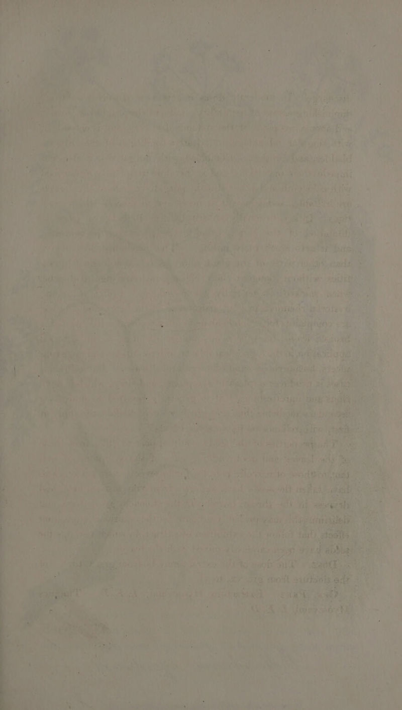 en. ve, hee! a Os s UES ; Vp hoy en 7 f ae a i L\'4 rt et - oy tae 5 7 * yiae ym eter Pes i ema : #3 eh ' a | + NG 4 ' a &gt; cae uy ‘ , Iii a va i ; * yas Aik at SAP UR ; * ss wee Habel Ge. sie PAT aa . Be yh! Mi W thé tual Re. Bad ts, hie oe bike 6 1c! Liste a hadi Peruse ad * | tan D4 ua fia ge) a yee Listi : ; P = a? Ware? Vy et fa aa L e450 Pine RE ay sae . 1c +e ie an a x A ie toe ehibatees ae _ a ay * are ’ ys Tas bs ele art NG ; (ep oA BCS ee 2 ik a case F a Pn ee 8 oe) sy ep . We 5 Salk ty Beas §2 rang, ¥ ne yin Pero ein % rs ee ate ey oh Ser Aye i it &amp; i tay ‘ s ae in wl } r, yee i PRY vi is: nid i if : ayy il eee | i | ; i f sa aeah oe ae i Bit ban wet. . Nalqiaas : ae : . E ay x, x ; ; han ae  .) Ms i mite : . nts et 0h a rs beh hah oy oe es ey . Fee ° ™ Bei Ht saieel en ie esewaity on Re as iit MAX? 5 - ine ah ist ae ee hie: ae . wer ah: sah agar tn: oad MOY 2: ON NE A?