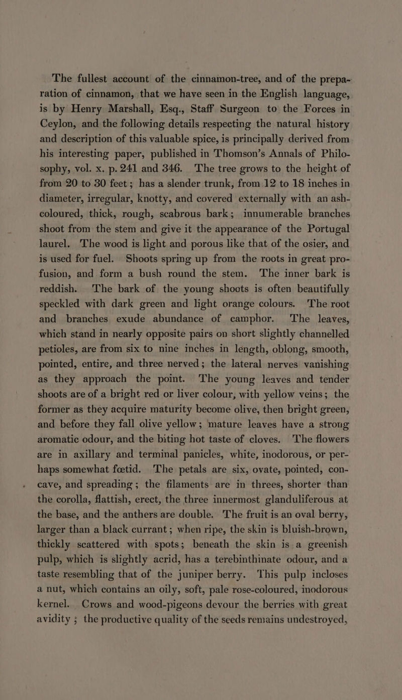The fullest account of the cinnamon-tree, and of the prepa- ration of cinnamon, that we have seen in the English language, is by Henry Marshall, Esq., Staff Surgeon to the Forces in Ceylon, and the following details respecting the natural history and description of this valuable spice, is principally derived from his interesting paper, published in Thomson’s Annals of Philo- sophy, vol. x. p. 241 and 346. The tree grows to the height of from 20 to 30 feet; has a slender trunk, from 12 to 18 inches in diameter, irregular, knotty, and covered externally with an ash- coloured, thick, rough, scabrous bark; innumerable branches shoot from the stem and give it the appearance of the Portugal laurel. The wood is light and porous like that of the osier, and is used for fuel. Shoots spring up from the roots in great pro- fusion, and form a bush round the stem. The inner bark is reddish. The bark of the young shoots is often beautifully speckled with dark green and light orange colours. The root and branches exude abundance of camphor. ‘The leaves, which stand in nearly opposite pairs on short slightly channelled petioles, are from six to nine inches in length, oblong, smooth, pointed, entire, and three nerved; the lateral nerves vanishing as they approach the point. ‘The young leaves and tender shoots are of a bright red or liver colour, with yellow veins; the former as they acquire maturity become olive, then bright green, and before they fall olive yellow; mature leaves have a strong aromatic odour, and the biting hot taste of cloves. The flowers are in axillary and terminal panicles, white, inodorous, or per- haps somewhat feetid. ‘The petals are six, ovate, pointed, con- cave, and spreading; the filaments are in threes, shorter than the corolla, flattish, erect, the three innermost glanduliferous at the base, and the anthers are double. The fruit is an oval berry, larger than a black currant ; when ripe, the skin is bluish-brown, thickly scattered with spots; beneath the skin is a greenish pulp, which is slightly acrid, has a terebinthinate odour, and a taste resembling that of the juniper berry. ‘This pulp incloses a nut, which contains an oily, soft, pale rose-coloured, inodorous kernel. Crows and wood-pigeons devour the berries with great avidity ; the productive quality of the seeds remains undestroyed,