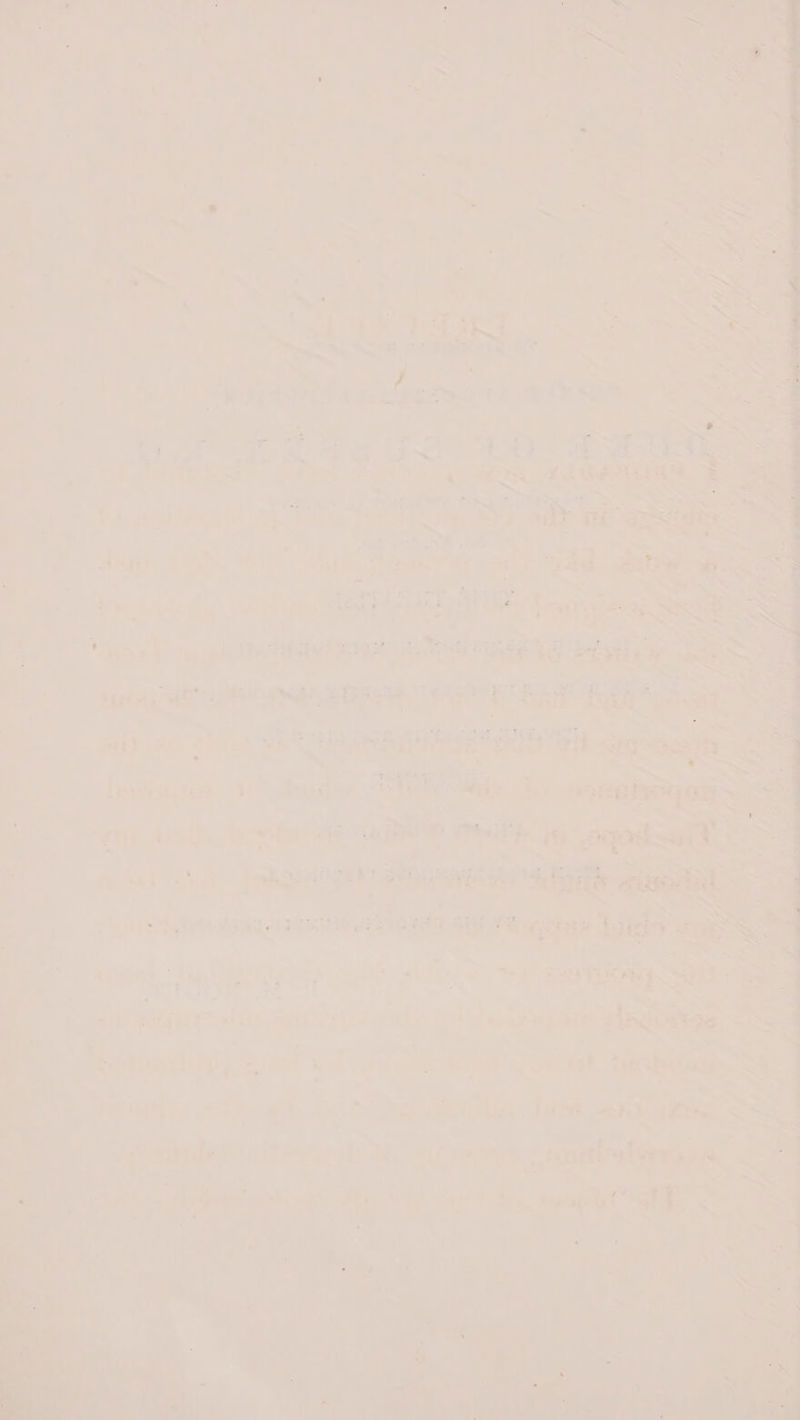 =e a take | Le FS ro eee e. visi iaee ew pte ee mi nk ae Uo .- e e “&lt;a ea ar Ge ie oO! ADEA Ay s ¥y, GN PO ha es ofan ast ee Sing ou a a aS N Re ’ ed ets a sehie Pig) aeges 7 | ad Prec ed ETN aad, Ate SS ox ~~ a a Sa 2 _; ‘ ‘ . a Parc, ; ae prise EE) Ate ate *j an &lt;— es ; | : h 7 ae See aS Be 50) yaa tiayserera.S ie ® ms : es Ra i rapes ae a ee AS oy, i RGR oe AS) a a: : oe me — 7 a. : tS cy er =, “ . a te Be eahtgn Diver ans CIEE RO TH erate a oe : . ee =. + a i ; ; pany ae Rata 1 ‘ne Lie a ies Fo Wigs 4; ri swe a Sas Bi. eth A eee dadineerichs mpi es 2 rr ae a: ;