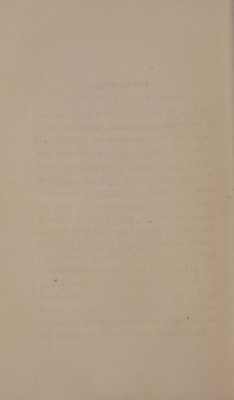 ve ¥ ‘ ; Pe : y are wn. eye ets mae re bse Sa is ali * ; ¥ We » . a rn 4 7 ¢ 4 ay ‘ a 4 ¥, cet ot ad Ps e rf ae : : ¢ ‘capt Reon NE i, 4 a hs. AB ale bk van Wy ‘ : \ , PS Ae P 7 a ’ i -. ad Z pe ae ’ ¥ ii o i aA . i > yy. PD wn * py % wf 7 js « ¢ 7 f’ 7 L ¢ \ ‘ near vi Aa % CV ig 4 : ‘ ‘ ane ify Pe ee hey ae ae idiat Ret , - “> , ‘ Ff G te A Be’ eR ORT i Ate oe ea4, Bae 83 ee: pia (abr Sb > * ‘ - &amp; s | iE : want tie ae hi it ie | ( it s en eis} ; ee?  bia: Bags PS “y + be aa bd i ' } hee Pe Lice ee. mA aA ee . 2s } ae. ae | ee ~ Ao % ut ‘ean Pray A ROS ay MAST 04 CEG DAS RTL READ 25 An S 4 ~~ rel vrs . : 4s vs “Ss > VRIES ERSTE. 59 a Lach s P Aad * ' Nat Fim 4 -pReO Re bh: hi) areata Re al ae Tt 4 ‘ ’ ; 7 2 4 ‘ ‘ y <4 Re eri eed hii beet ih Bc Mil Or Lat as , 34 —~ Lae * yg i EAN Ree . . ‘ y lags o2 moe » On i iy 838 : Ce eth. Sus , : “ i 2 é .. En ete 2 otal atl ‘ , 5 ‘ Siar fe aoe e ®  Fi ~ m A ae ame ied a * sf ry on ‘d i an ad's i cpecine Cta GSE Aaa WEIN tre Tae | A 3 d aod , : : Cash Ti wean ae A use RET a re HIRE REE Ne: MCR SREE (SPS De Cia eh SR a caeen aba sy ‘ ‘ SAGARA BIG Pe tul f A t ee FR post He Sige: ry &amp; , ; bdo sy 2otar &amp; £ te 4 * ral (sy 8. ¢ LA® *'  . * ¥ , z +e \y ' 5 ‘ i A ai ed j ya 1) “ ane wy é he Av Ce ARS f 7 es 02S 'aelew 4 ; * ay eh hy d users AR 1 4 ve Ae Be } ri | Weiser entree mishit ites aa - ' ‘ 4 f y ? ; aes iG . 4] Fe 4 ¢ 7 a + cee Pygeeyer's { Pips 1 ¥\5 af sh i EA a, Cee a eon pars | on aon gisinlae am a + 1 > ee me Maye