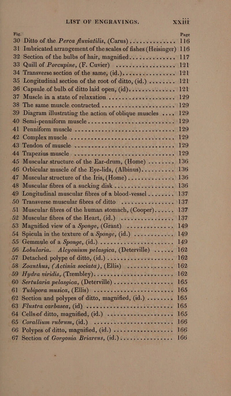Fig. 30 32 33 4-4 62 62 64 LIST OF ENGRAVINGS. XXIII Page Ditto of the. Perca fluviatilis, (Carus) ...... 000.008 116 Imbricated arrangement of the scales of fishes (Heisinger) 116 Section of the bulbs of hair, magnified.......... pote TLL Quill of Porcupine, (F. Cuvier) .........00.- sawn lok Transverse section of the same, (id.)........2...000 121 Longitudinal section of the root of ditto, (id.) ........ 121 Capsule.of bulb. of ditto laid open, (id)....+.....0.4. 121 Muscle in a state of relaxation........sce0ssseeweee 129 The same. muscle. contracted... 6. 0s. sie'sie eels ween 129 Diagram illustrating the action of oblique muscles .... 129 Demi-penniform muscle o . oi. vane aids ele 9) ode a'ete’a Wi eiye 129 POU MUOTA WAUSCIG is oes wong oooh WHE GIA IA, + pclal'eve'e, dhya's 129 PORDAS TAUSCO. os 4 ptaw duce nna ps a bic s SARE OS 129 PRGHGOM OF INUSCNEr oo wecee qin + 5 GOS} ug wiajnlale'e ing wigs 129 Trapezius muscle. ......... pk mim of ella) aaa alah SS) oSiy laeibite 129 Muscular structure. of the Ear-drum, (Home) ........ 136 Orbicular muscle of the Eye-lids, (Albinus).......... 136 Muscular structure of the. Iris, (Home)............-- . 136 Muscular fibres of a.sucking disk ..........005. boda LOG Longitudinal muscular fibres of a blood-vessel........ 137 Transverse muscular fibres of ditto. .... 2... eee eee 137 Muscular. fibres of the human stomach, (Cooper)...... 137 Muscular fibres of the Heart, (id.) .........-..0008 137 Magnified view of a Sponge, (Grant) ............-. 149 Spicula in the texture of a Sponge, (id.) ......2...4. 149 Gemmule of a Sponge, (id.)....... Cree ie | ea 149 Lobularia... Alcyonium pelasgica, (Deterville) ...... 162 Detached. polype of ditto, (id.) .. 2... ee eee eee eens 162 Zoanthus, (Actinia sociata), (Ellis) ........ poor werd 162 Hydra viridis,.(Trembley)....... Gaara je Ferytur $1 8'etsg 162 Sertularia pelasgica, (Deterville)......... Sk ded ata tae 165 Tubipora-musica, (EMIS) 4: siya db é ass ia eiele.o 008 wae wie ds 165 Section and polypes of ditto, magnified, (id.) ....... « 165 Flustra carbasea, (id) ..sssceesecenes Lek he wy tse 165 Cells-of ditto, magnified, (id.) ......c..ecee eee eee 165 Corallium-rubrummy (Ad. 4a 's'e 5A). ape lasersin,s siatdietere te eg 166 Polypes of ditto, magnified, (id.) ....... afeolstaihigtese: ts 166 Section of Gorgonia Briareus, (id.)..... see e ee eeees 166