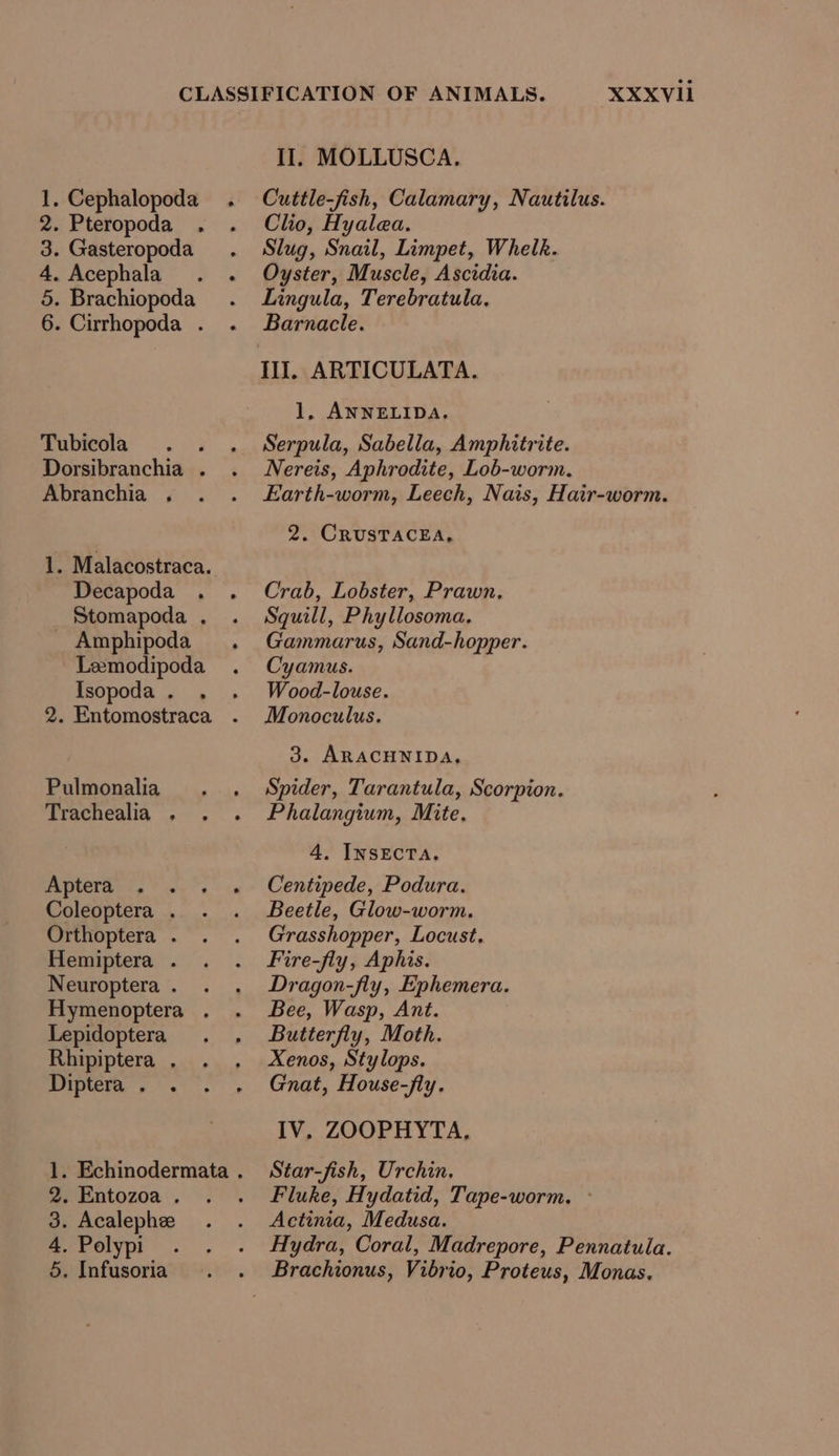 1. Cephalopoda 2. Pteropoda 3. Gasteropoda 4. Acephala 5. Brachiopoda 6. Cirrhopoda . Tubicola Dorsibranchia . Abranchia . 1. Malacostraca. Decapoda . Stomapoda . _ Amphipoda Lemodipoda Isopoda . Pulmonalia Trachealia . Aptera . Coleoptera . Orthoptera . Hemiptera . Neuroptera. . Hymenoptera . Lepidoptera Rhipiptera . Diptera . . 2. Entozoa . 3. Acalephee 4. Polypi 5. Infusoria II. MOLLUSCA. Cuttle-fish, Calamary, Nautilus. Clio, Hyalea. Slug, Snail, Limpet, Whelk. Oyster, Muscle, Ascidia. Lingula, Terebratula. Barnacle. II. ARTICULATA. 1, ANNELIDA. Serpula, Sabella, Amphitrite. Nereis, Aphrodite, Lob-worm. Earth-worm, Leech, Nais, Hair-worm. 2. CRUSTACEA, Crab, Lobster, Prawn, Squill, Phyllosoma. Gammarus, Sand-hopper. Cyamus. Wood-louse. Monoculus. 3. ARACHNIDA, Spider, Tarantula, Scorpion. Phalangium, Mite. 4. INSECTA. Centipede, Podura. Beetle, Glow-worm. Grasshopper, Locust, Fire-fly, Aphis. Dragon-fly, Ephemera. Bee, Wasp, Ant. Butterfly, Moth. Xenos, Stylops. Gnat, House-fly. IV, ZOOPHYTA, Star-fish, Urchin. Fluke, Hydatid, Tape-worm. -° Actinia, Medusa. Hydra, Coral, Madrepore, Pennatula.