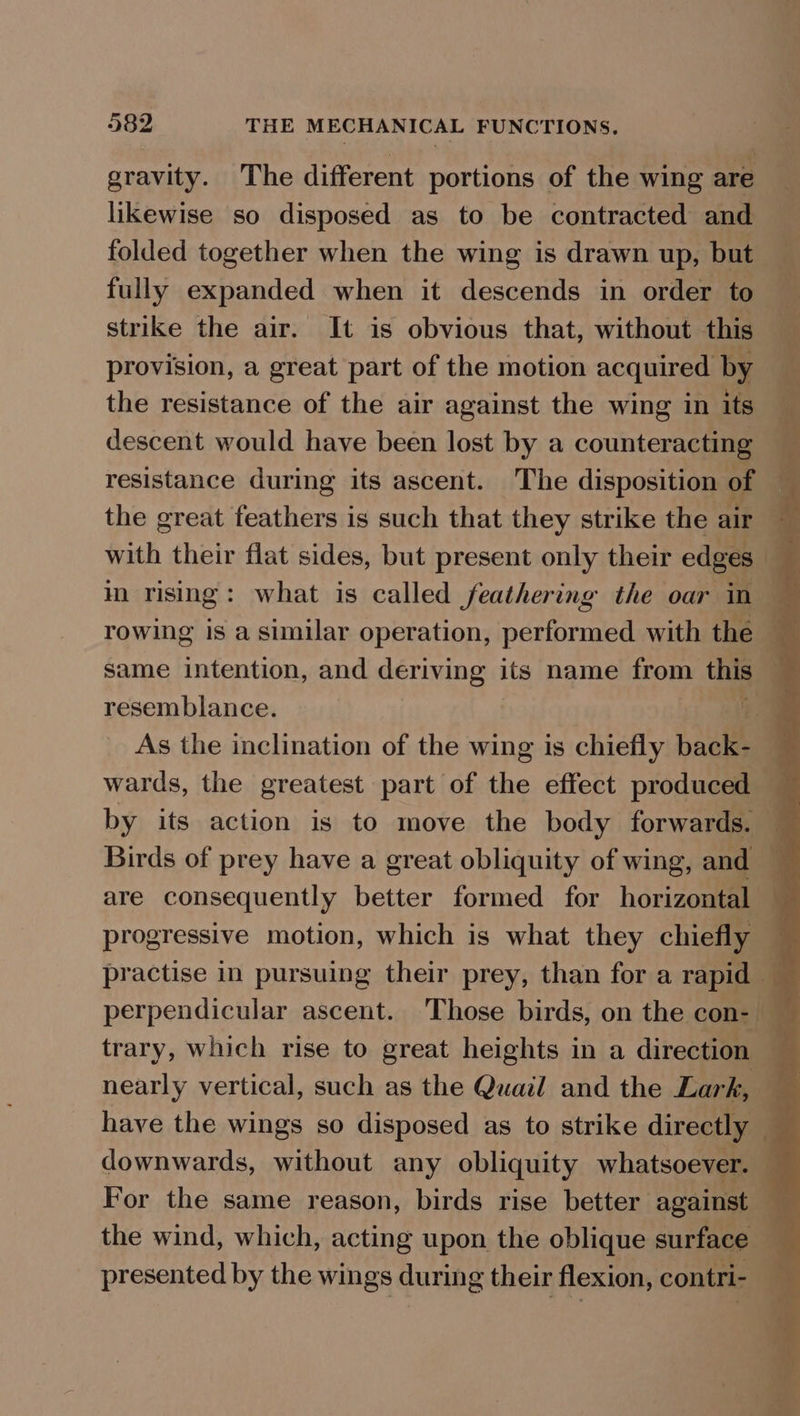 gravity. The different portions of the wing are likewise so disposed as to be contracted and folded together when the wing is drawn up, but fully expanded when it descends in order to strike the air. It is obvious that, without this provision, a great part of the motion acquired by the resistance of the air against the wing in its descent would have been lost by a counteracting resistance during its ascent. The disposition of the great feathers is such that they strike the air As the inclination of the wing is chiefly baal are consequently better formed for horizontal downwards, without any obliquity whatsoever. presented by the wings during their flexion, contri-