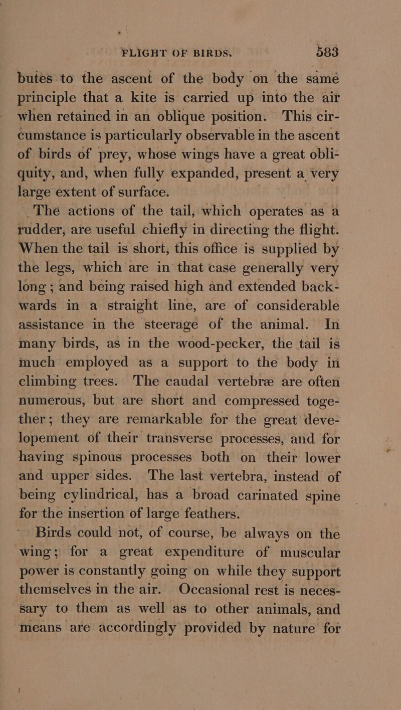 butes to the ascent of the body on the same principle that a kite is carried up into the air when retained in an oblique position. This cir- cumstance is particularly observable in the ascent of birds of prey, whose wings have a great obli- quity, and, when fully expanded, present a very large extent of surface. | | The actions of the tail, which operates as a rudder, are useful chiefly in directing the flight. . When the tail is short, this office is supplied by the legs, which are in that case generally very long ; and being raised high and extended back- wards in a straight line, are of considerable assistance in the steerage of the animal. In many birds, as in the wood-pecker, the tail is much employed as a support to the body in climbing trees. The caudal vertebre are often numerous, but are short and compressed toge- ther; they are remarkable for the great deve- lopement of their transverse processes, and for having spinous processes both on their lower and upper sides. The last vertebra, instead of being cylindrical, has a broad carinated spine for the insertion of large feathers. Birds could not, of course, be always on the wing; for a great expenditure of muscular power is constantly going on while they support themselves in the air. Occasional rest is neces- sary to them as well as to other animals, and means are accordingly provided by nature for