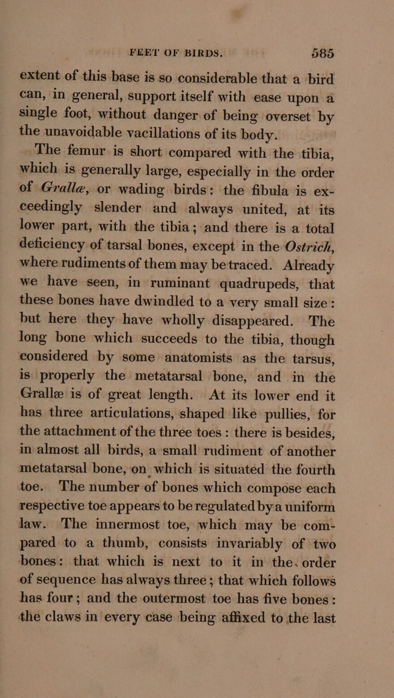 extent.of this base is so considerable that a bird can, in general, support itself with ease upon a single foot, without danger of being overset by the unavoidable vacillations of its body. The femur is short compared with the tibia, which is generally large, especially in the order of Gralle, or wading birds: the fibula is ex- ceedingly slender and always united, at its lower part, with the tibia; and there is a total deticiency of tarsal bones, except in the Ostrich, where rudiments of them may betraced. Already we have seen, in ruminant quadrupeds, that these bones have dwindled to a very small size: but here they have wholly disappeared. The long bone which succeeds to the tibia, though considered by some anatomists as the tarsus, is properly the metatarsal bone, and in the Grallz is of great length. At its lower end it has three articulations, shaped like pullies, for the attachment of the three toes : there is besides, in almost all birds, a small rudiment of another metatarsal bone, on which is situated the fourth toe. The number of bones which compose each respective toe appears to be regulated bya uniform law. The innermost toe, which may be com- pared to a thumb, consists invariably of two bones: that which is next to it in the. order of sequence has always three ; that which follows has four; and the outermost toe has five bones: the claws in every case being affixed to the last