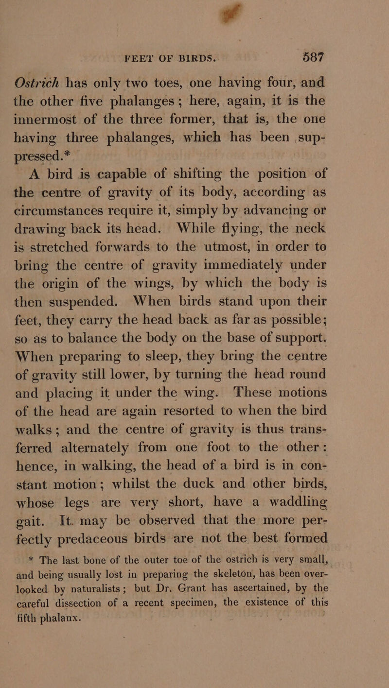 # FEET OF BIRDS. 587 Ostrich has only two toes, one having four, and the other five phalanges; here, again, it is the innermost of the three former, that is, the one having three phalanges, which has been .sup- pressed.* A bird is capable of shifting the position of the centre of gravity of its body, according as circumstances require it, simply by advancing or drawing back its head. While flying, the neck is stretched forwards to the utmost, in order to bring the centre of gravity immediately under the origin of the wings, by which the body is then suspended. When birds stand upon their feet, they carry the head back as far as possible; so as to balance the body on the base of support. When preparing to sleep, they bring the centre of gravity still lower, by turning the head round and placing it under the wing. These motions of the head are again resorted to when the bird walks; and the centre of gravity is thus trans- ferred alternately from one foot to the other: hence, in walking, the head of a bird is in con- stant motion; whilst the duck and other birds, whose legs are very short, have a waddling gait. It. may be observed that the more per- fectly predaceous birds are not the best formed * The last bone of the outer toe of the ostrich is very small, and being usually lost in preparing the skeleton, has been over- looked by naturalists; but Dr. Grant has ascertained, by the careful dissection of a recent Ss ae iet the existence of this fifth phalanx. mt .