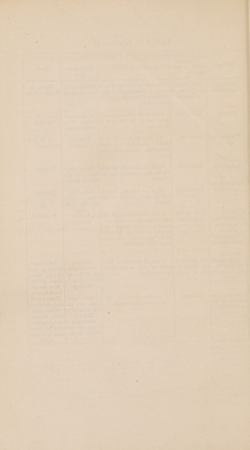 palit ae ; ay es os ondisiem, ms aet setae earns 1° in opel} sfieawtanasy ae — Maer footer ; balngorax wheats an pete Lah Mek. pitts a alee mBiyle ge ott peas) 27 i 7 hig \ aires Ls 0 : 7 es coe 70h Geta See 4 aa aah CC a errs 9 t on i ¥ 4 ate wo a ‘ ? Any Pgs yo a ee ee ne Aes: id ‘eae: sacek nade a. sate: itn ROT: a wo ob ay) ee ee ae ety. ; agri sn Na 5 Sat timaiad oe Veer rar OEE MOY Seo pir eas : b pa ’) a 4 aa oY ae sn ee ay » caw a Re ea ECT 7 Gc gerMOeae th Ostet % er ee = Bie a fcepiumase fad = ’ i y ‘ yee - , ie , 3 a Pe was eta! - duties. i sha ¢ +: Ae Ss) V7 tone Am Fes r eee. (ie omit oi yriaen p celd i ae aris a ny Ee FOG - hy 7 erat init 1 isnoce sddae 9 ‘he ‘is Gowan? . * * ye 7 bot ae iinet. Aepnnecte,e taleug Pets ot, o ines ott Gate ee ad aerate ve ais eg ws > me ars a met — 4 met mae Mesa 4 linia ht oil te esiren sine peel eal av, iy 14 a f veges a eT iv We bosae smpbury iawd: ammeter bar ede > AGE SESS RS is ny be ee 2 ne ; a Yh VL br Rad Ars regen SEH? eras ae * grit | japan” hg am malt: a. Larceiare Re a} at gem FN ed ae . ee + ¥ ; oe om i r a = 3 7 rs 4 , s ary goa digit Mae: - Mee titi’ = is al eae ae 7 ae Wp ho ~ as ids. y3 “i 9) . ‘, oe oad jay na ie Oe os : 4’ pv fi ao pore pees, wih erectile pays sehen wat t bod me, ares a Woe a a oP a i ita en ‘) - agentes. yebs piney pane? bat@jonie ae vies ie a stint rw anil a fnttatieadiotoerd Gol Soveis eed fintiesnles geip ya. ath” omen ae LOTOs Bast iat ve CBE ME A can seo hie ee ig: bap AMO: Cireem ee RI I Sa ee ae nA dy Tee 4 ei8 ag pag te ioe a * iy aitews vee rey | © mar ee Mapatioiuel 4 “i * asda te “widieeny a ae gen “sda ty Aan taka fees id eee ‘' 7 ; ' \ ‘* ws F 5 eee a C  Pl nS enn i bike aa rustle 7 aa et oa S| Be + se ite eo dek os . an it; a ae ; . FS = = ge A PY) Soeennioe Bl Yi Y as! hat wa m: me ye — Neg a 4 ‘, mat z wr . A ef 7 4 ; ‘ > AW ye ee ; Ss nd beet Re ae Ra a? : ‘ > > an 2 teh eve Ser as ‘ 7 hh Oe ee aaa re re A i ie ie cain we aaa ay Biya : 7 vp i a aati ‘Be 4563 ee <a 7 = Sang antate ; , a. : 4 - 5 . . 1 =a an eee ee - rh. y + ’ iN ry - a. de = AL Sd Se Pa . ati Pe Per Nes nas : er, Eat: ; th ne wt ee wee : Ae! hen A= Ae i al rf ian ee we : ievhaees Ms, i ami, Pra eee , : a qe ms ® \ A ha <i a DP any ef ph 4 Fe ne Fas +‘. A 1 ‘ . . .. . ae of re met i] ort) 4 : _ rn Pyly hy le YEE, tal iene Ueree ; = Sites Ma aa : ed ae, 7 pi ' ie ry : ol ny! ° J ve Ni 4