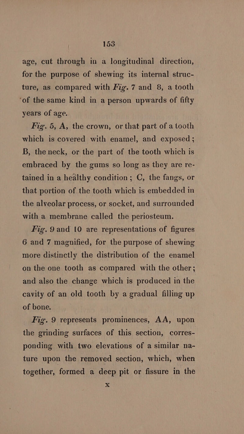 age, cut through in a longitudinal direction, for the purpose of shewing its internal struc- ture, as compared with Fug. 7 and 8, a tooth ‘of the same kind in a person upwards of fifty years of age. Fig. 5, A, the crown, or that part of a tooth which is covered with enamel, and exposed ; B, the neck, or the part of the tooth which is embraced by the gums so long as they are re- tained in a healthy condition; C, the fangs, or that portion of the tooth which is embedded in the alveolar process, or socket, and surrounded with a membrane called the periosteum. Fig. 9 and 10 are representations of figures 6 and 7 magnified, for the purpose of shewing more distinctly the distribution of the enamel on the one tooth as compared with the other ; and also the change which is produced in the cavity of an old tooth by a gradual filling up of bone. tg. 9 represents prominences, AA, upon the grinding surfaces of this section, corres- ponding with two elevations of a similar na- ture upon the removed section, which, when together, formed a deep pit or fissure in the x