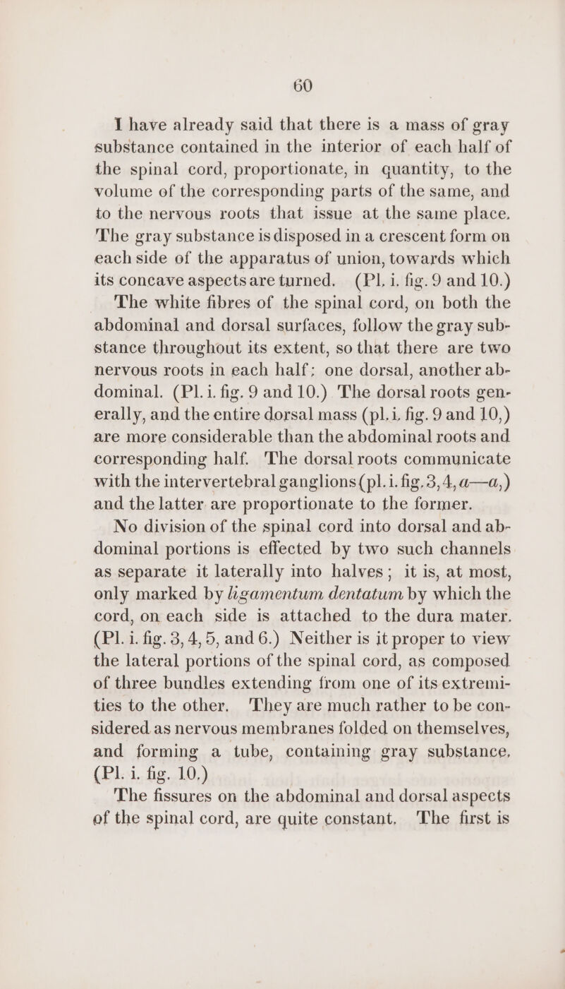 I have already said that there is a mass of gray substance contained in the interior of each half of the spinal cord, proportionate, in quantity, to the volume of the corresponding parts of the same, and to the nervous roots that issue at the same place. The gray substance is disposed in a crescent form on each side of the apparatus of union, towards which its concave aspectsare turned. (PL i. fig. 9 and 10.) The white fibres of the spinal cord, on both the abdominal and dorsal surfaces, follow the gray sub- stance throughout its extent, so that there are two nervous roots in each half: one dorsal, another ab- dominal. (PI. i. fig. 9 and 10.) The dorsal roots gen- erally, and the entire dorsal mass (pl.i fig. 9 and 10,) are more considerable than the abdominal roots and corresponding half. The dorsal roots communicate with the intervertebral ganglions(pl.i.fig.3,4,a—a,) and the latter are proportionate to the former. No division of the spinal cord into dorsal and ab- dominal portions is effected by two such channels as separate it laterally into halves; it is, at most, only marked by igamentum dentatum by which the cord, on each side is attached to the dura mater. (Pl.i. fig.3,4,5, and6.) Neither is it proper to view the lateral portions of the spinal cord, as composed of three bundles extending from one of its extremi- ties to the other. They are much rather to be con- sidered. as nervous membranes folded on themselves, and forming a tube, containing gray substance, (PL:1. fig...L0,) The fissures on the abdominal and dorsal aspects of the spinal cord, are quite constant, The first is