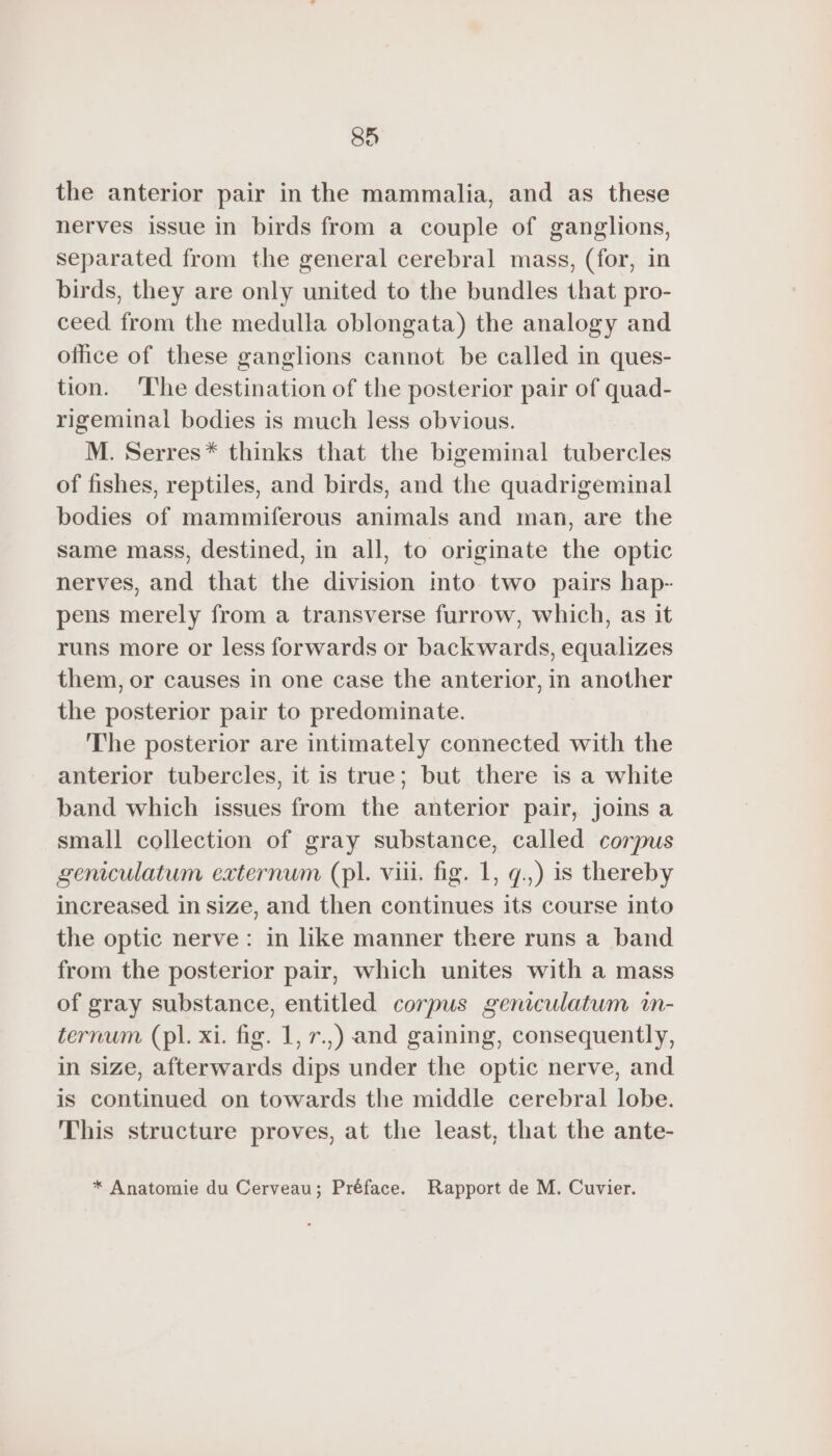 8H the anterior pair in the mammalia, and as these nerves issue in birds from a couple of ganglions, separated from the general cerebral mass, (for, in birds, they are only united to the bundles that pro- ceed from the medulla oblongata) the analogy and office of these ganglions cannot be called in ques- tion. ‘The destination of the posterior pair of quad- rigeminal bodies is much less obvious. M. Serres* thinks that the bigeminal tubercles of fishes, reptiles, and birds, and the quadrigeminal bodies of mammiferous animals and man, are the same mass, destined, in all, to originate the optic nerves, and that the division into two pairs hap- pens merely from a transverse furrow, which, as it runs more or less forwards or backwards, equalizes them, or causes in one case the anterior, in another the posterior pair to predominate. The posterior are intimately connected with the anterior tubercles, it is true; but there is a white band which issues from the anterior pair, joins a small collection of gray substance, called corpus geniculatum externum (pl. vii. fig. 1, q.,) is thereby increased in size, and then continues its course into the optic nerve: in like manner there runs a band from the posterior pair, which unites with a mass of gray substance, entitled corpus geniculatum im- ternum (pl. xi. fig. 1, 7.,) and gaining, consequently, in size, afterwards dips under the optic nerve, and is continued on towards the middle cerebral lobe. This structure proves, at the least, that the ante-