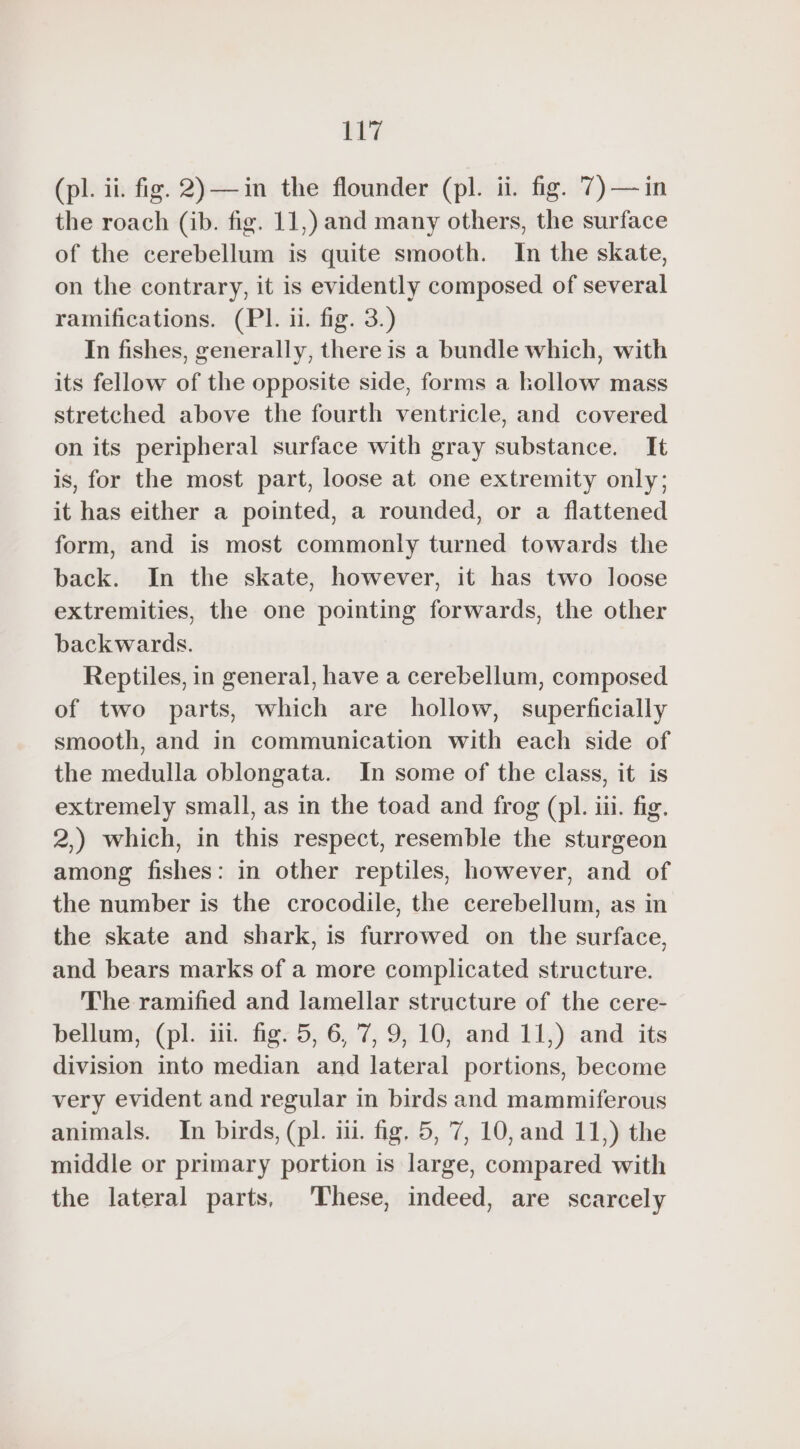 (pl. ii. fig. 2) — in the flounder (pl. ii. fig. 7) —in the roach (ib. fig. 11,) and many others, the surface of the cerebellum is quite smooth. In the skate, on the contrary, it is evidently composed of several ramifications. (PI. ii. fig. 3.) In fishes, generally, there is a bundle which, with its fellow of the opposite side, forms a kollow mass stretched above the fourth ventricle, and covered on its peripheral surface with gray substance. It is, for the most part, loose at one extremity only; it has either a pointed, a rounded, or a flattened form, and is most commonly turned towards the back. In the skate, however, it has two loose extremities, the one pointing forwards, the other backwards. Reptiles, in general, have a cerebellum, composed of two parts, which are hollow, superficially smooth, and in communication with each side of the medulla oblongata. In some of the class, it is extremely small, as in the toad and frog (pl. iii. fig. 2,) which, in this respect, resemble the sturgeon among fishes: in other reptiles, however, and of the number is the crocodile, the cerebellum, as in the skate and shark, is furrowed on the surface, and bears marks of a more complicated structure. The ramified and lamellar structure of the cere- bellum, (pl. i. fig. 5, 6, 7, 9, 10, and 11,) and its division into median and lateral portions, become very evident and regular in birds and mammiferous animals. In birds, (pl. ili. fig. 5, 7, 10, and 11,) the middle or primary portion is large, compared with the lateral parts, These, indeed, are scarcely