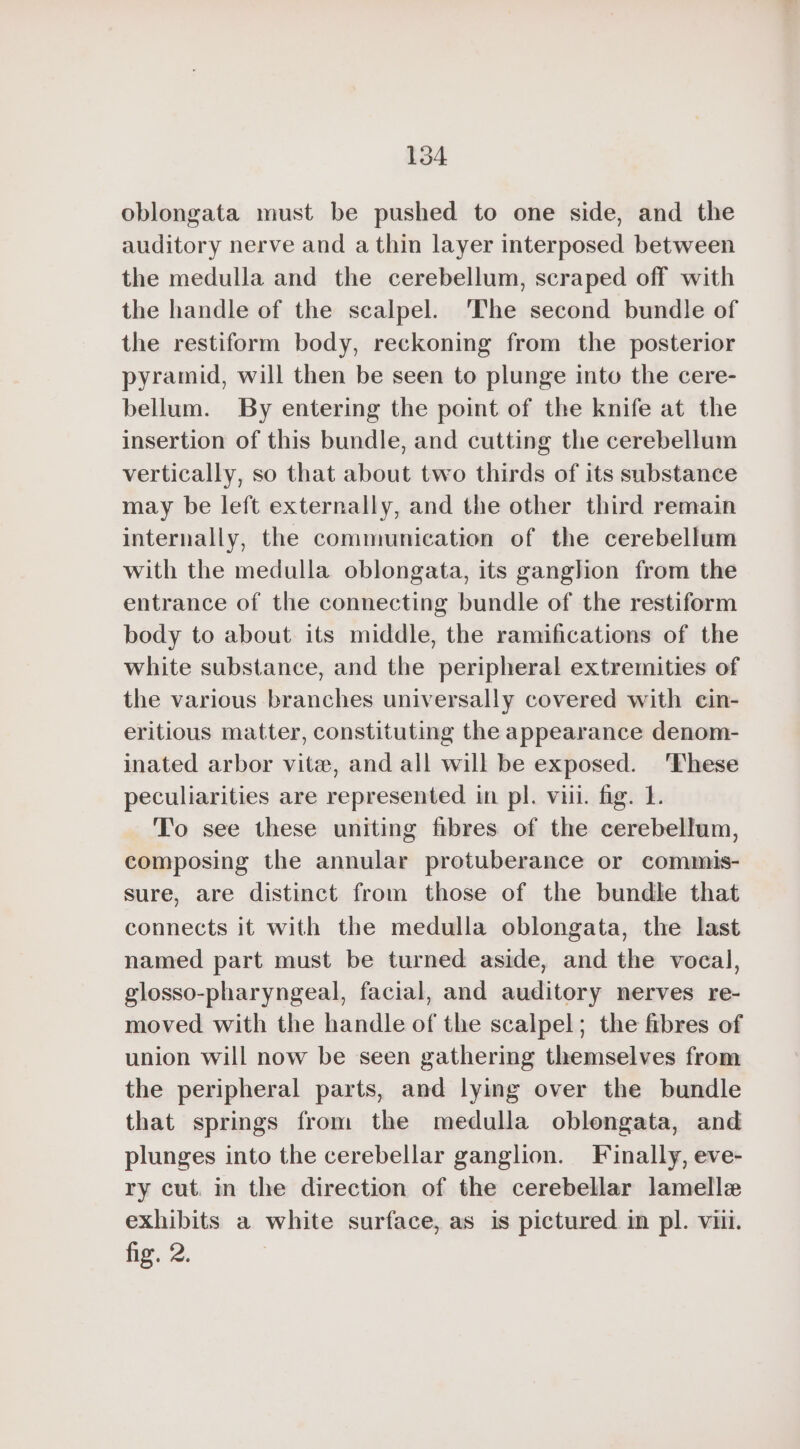 oblongata must be pushed to one side, and the auditory nerve and a thin layer interposed between the medulla and the cerebellum, scraped off with the handle of the scalpel. ‘The second bundle of the restiform body, reckoning from the posterior pyramid, will then be seen to plunge into the cere- bellum. By entering the point of the knife at the insertion of this bundle, and cutting the cerebellum vertically, so that about two thirds of its substance may be left externally, and the other third remain internally, the communication of the cerebellum with the medulla oblongata, its ganglion from the entrance of the connecting bundle of the restiform body to about its middle, the ramifications of the white substance, and the peripheral extremities of the various branches universally covered with cin- eritious matter, constituting the appearance denom- inated arbor vite, and all will be exposed. These peculiarities are represented in pl. vill. fig. 1. To see these uniting fibres of the cerebellum, composing the annular protuberance or commis- sure, are distinct from those of the bundle that connects it with the medulla oblongata, the last named part must be turned aside, and the vocal, glosso-pharyngeal, facial, and auditory nerves re- moved with the handle of the scalpel; the fibres of union will now be seen gathering themselves from the peripheral parts, and lying over the bundle that springs from the medulla oblongata, and plunges into the cerebellar ganglion. Finally, eve- ry cut. in the direction of the cerebellar lamellæ exhibits a white surface, as is pictured in pl. viii. he, 2.