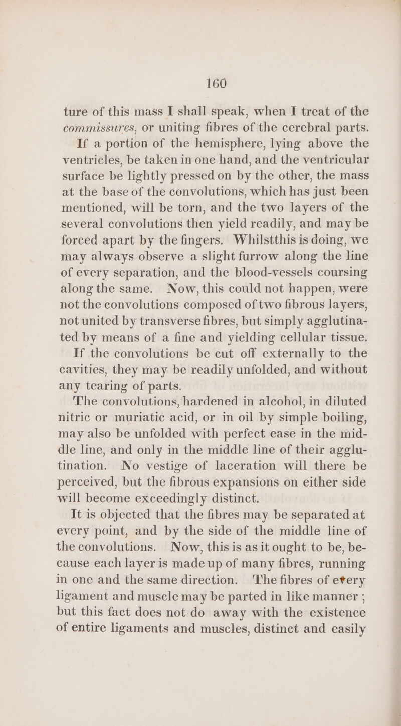 ture of this mass I shall speak, when I treat of the commissures, or uniting fibres of the cerebral parts. If a portion of the hemisphere, lying above the ventricles, be taken in one hand, and the ventricular surface be lightly pressed on by the other, the mass at the base of the convolutions, which has just been mentioned, will be torn, and the two layers of the several convolutions then yield readily, and may be forced apart by the fingers. Whilstthis is doing, we may always observe a slight furrow along the line of every separation, and the blood-vessels coursing along the same. Now, this could not happen, were not the convolutions composed of two fibrous layers, not united by transverse fibres, but simply agglutina- ted by means of a fine and yielding cellular tissue. If the convolutions be cut off externally to the cavities, they may be readily unfolded, and without any tearing of parts. The convolutions, hardened in alcohol, in diluted nitric or muriatic acid, or in oil by simple boiling, may also be unfolded with perfect ease in the mid- dle line, and only in the middle line of their agglu- tination. No vestige of laceration will there be perceived, but the fibrous expansions on either side will become exceedingly distinct. It is objected that the fibres may be separated at every point, and by the side of the middle line of the convolutions. Now, this is as it ought to be, be- cause each layer is made up of many fibres, running in one and the same direction. The fibres of every ligament and muscle may be parted in like manner ; but this fact does not do away with the existence of entire ligaments and muscles, distinct and easily